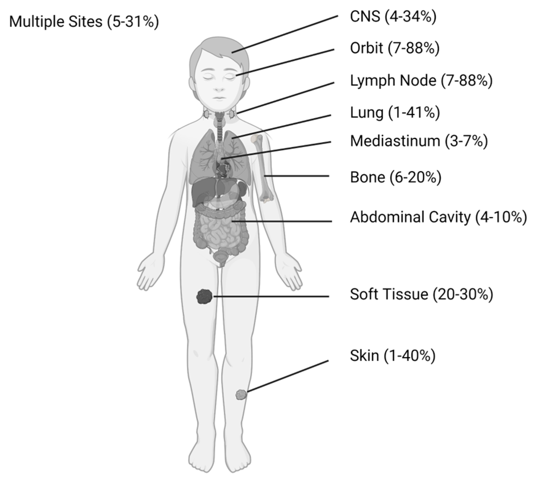 Cancers 15 01443 g001 Cancers 15 01443 g001