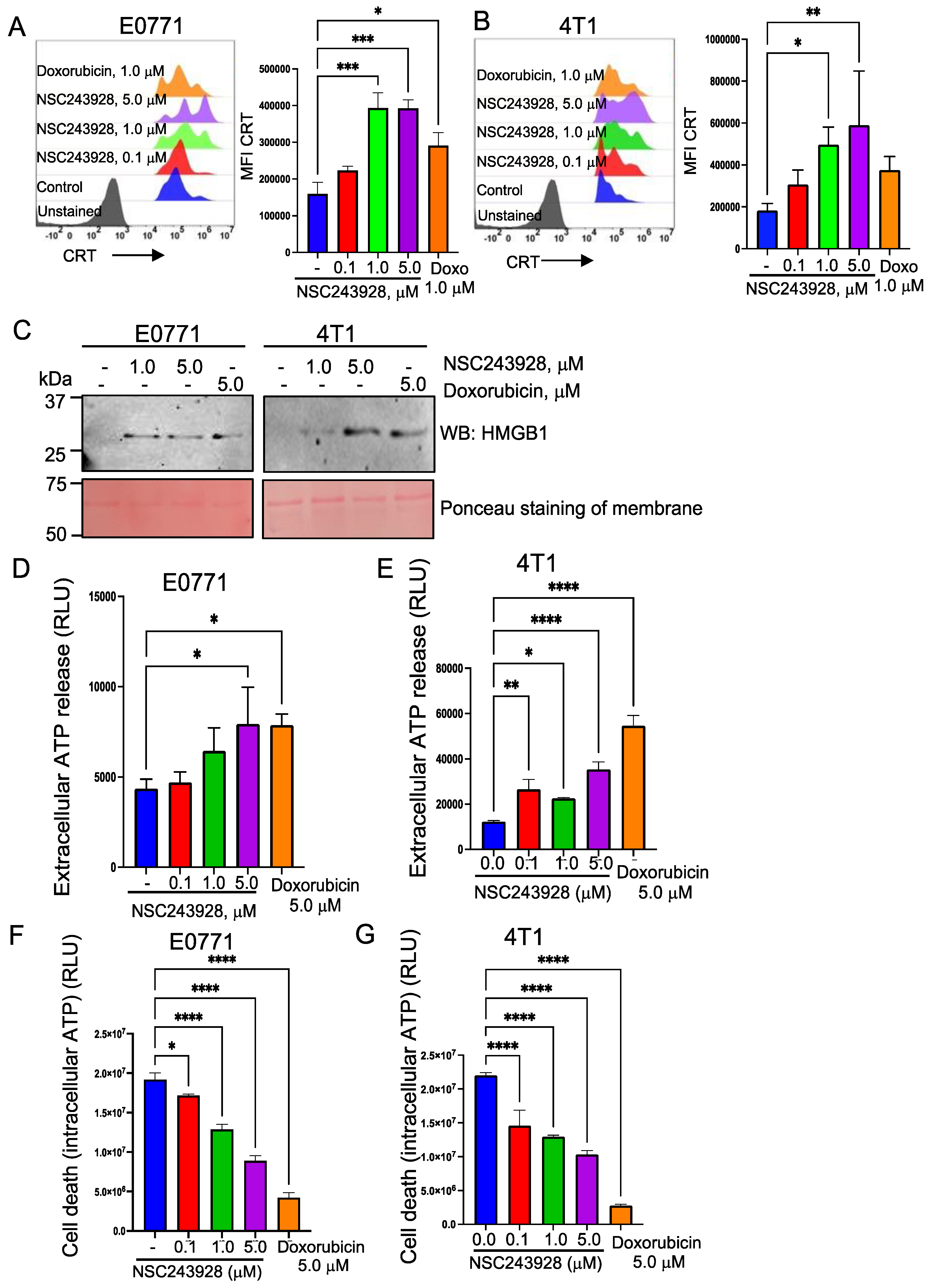 Cancers 15 01468 g002 Cancers 15 01468 g002