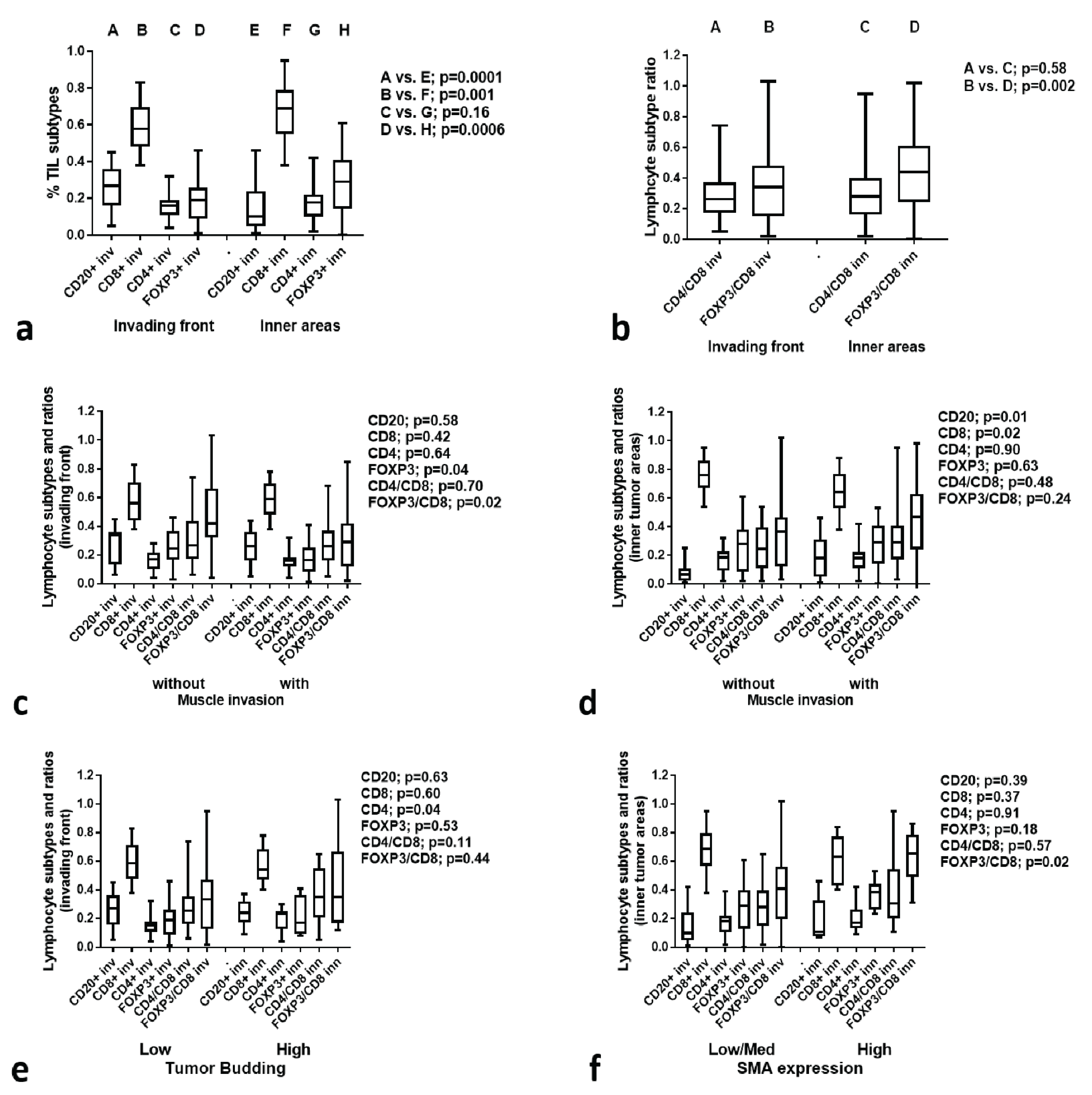 Cancers 15 01478 g003
