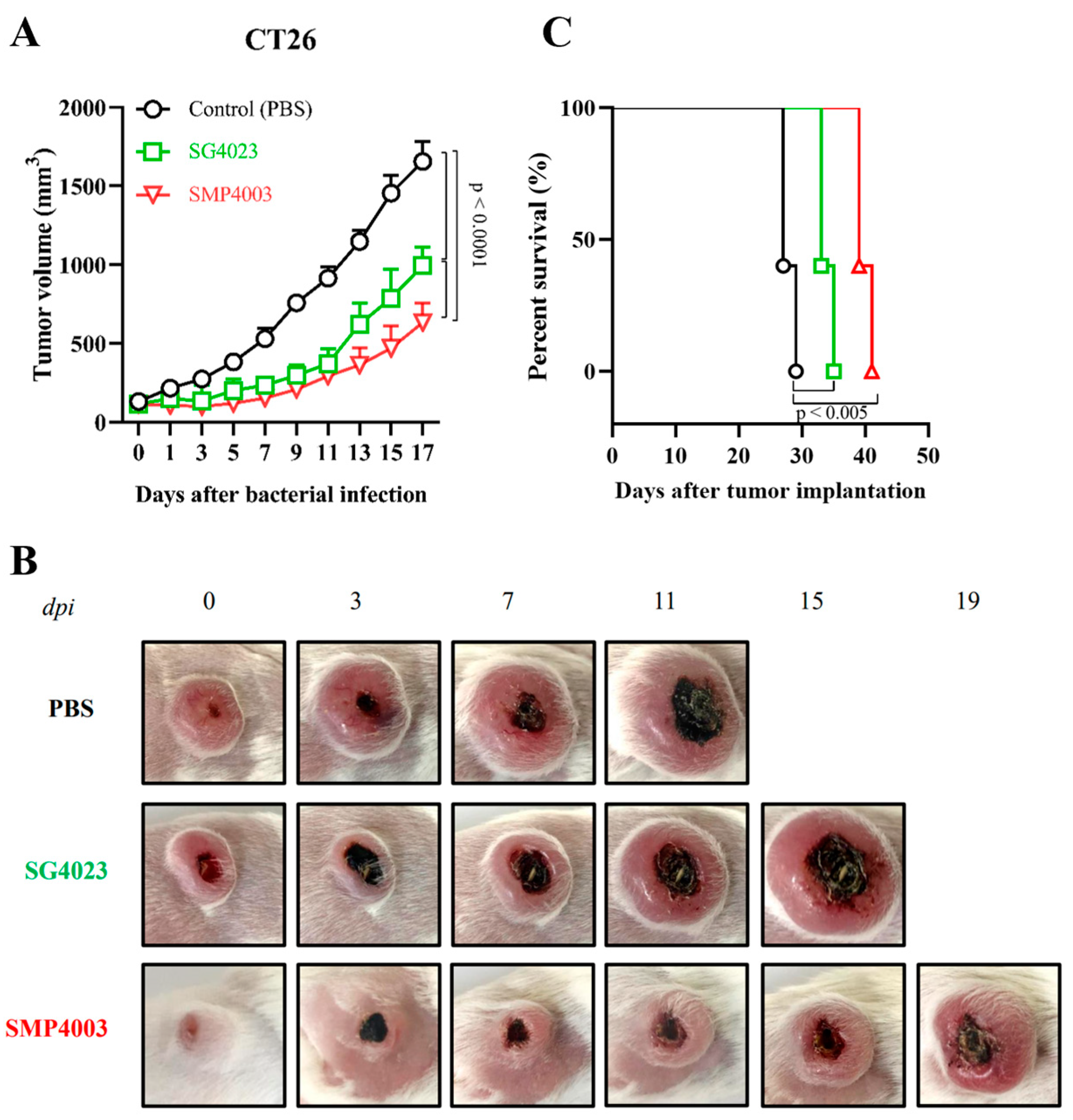 Cancers Free Full Text Constitutive Expression Of A Cytotoxic