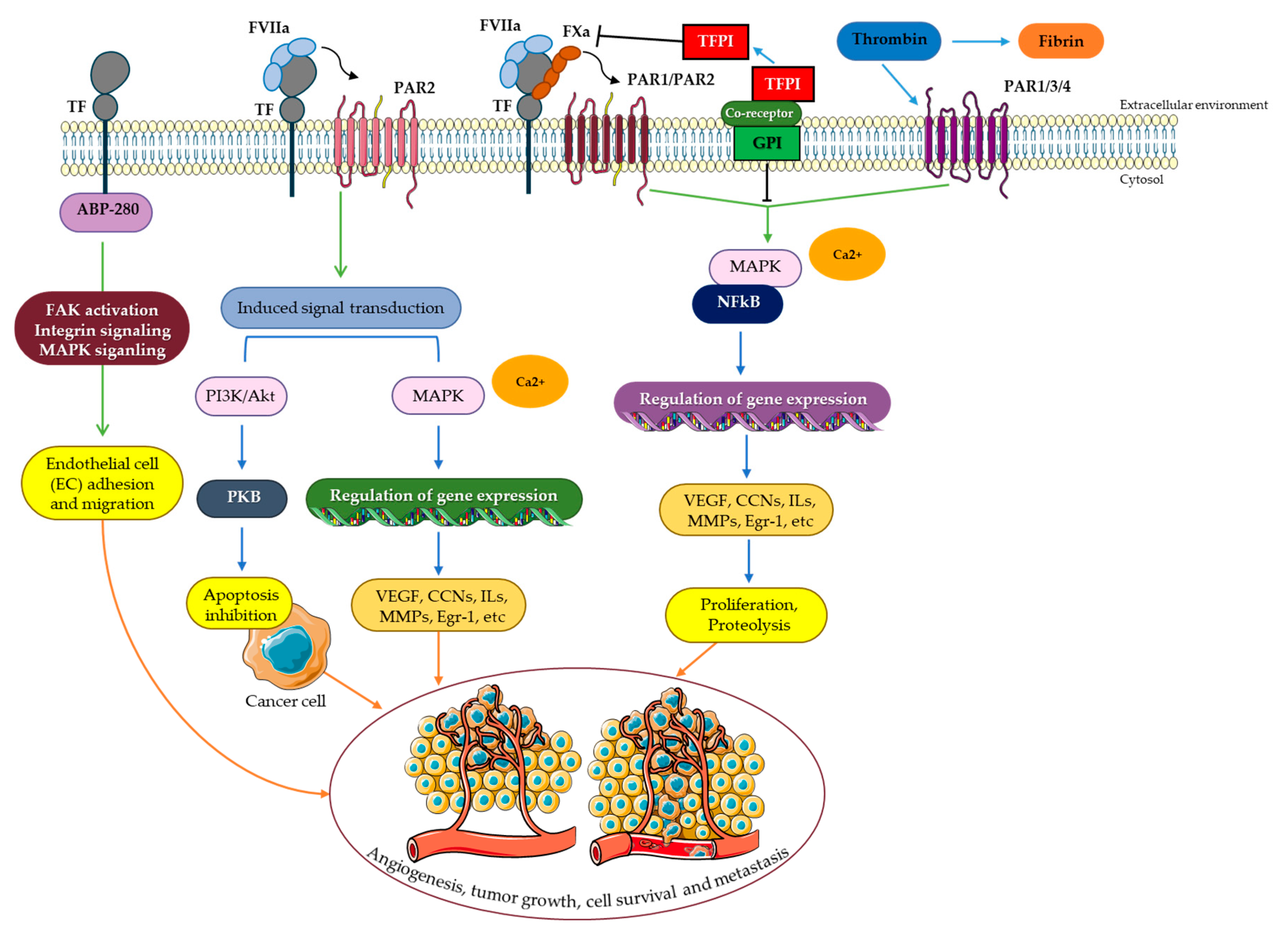 Cancers 15 01524 g003 Cancers 15 01524 g003