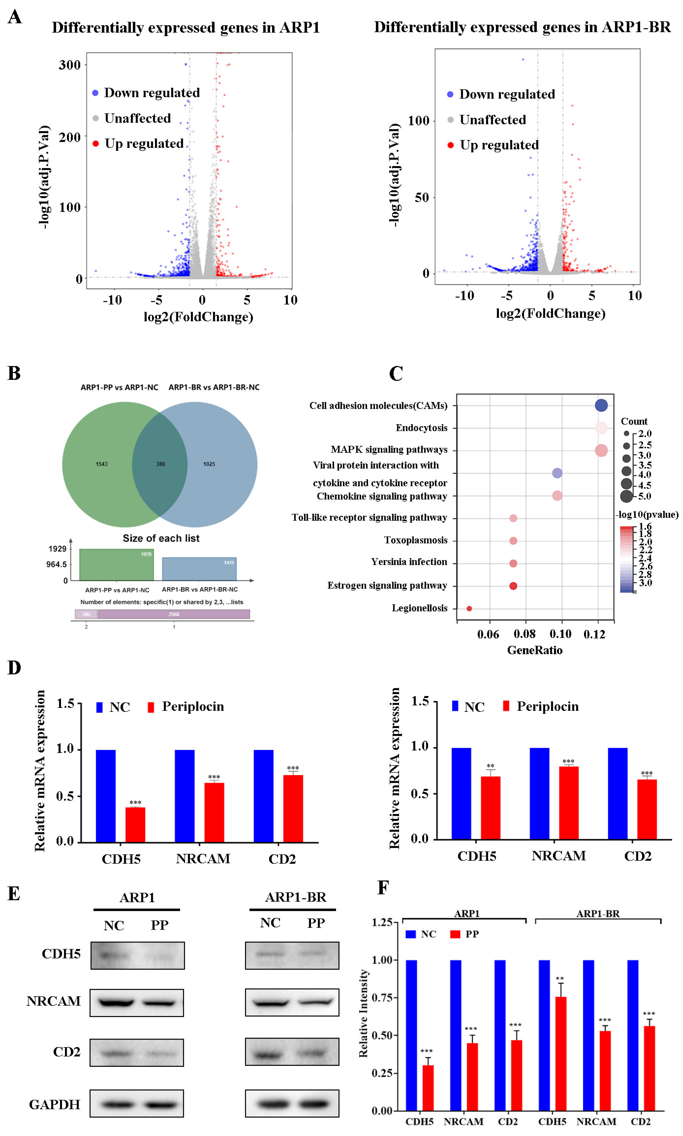 Cancers 15 01526 g004 Cancers 15 01526 g004