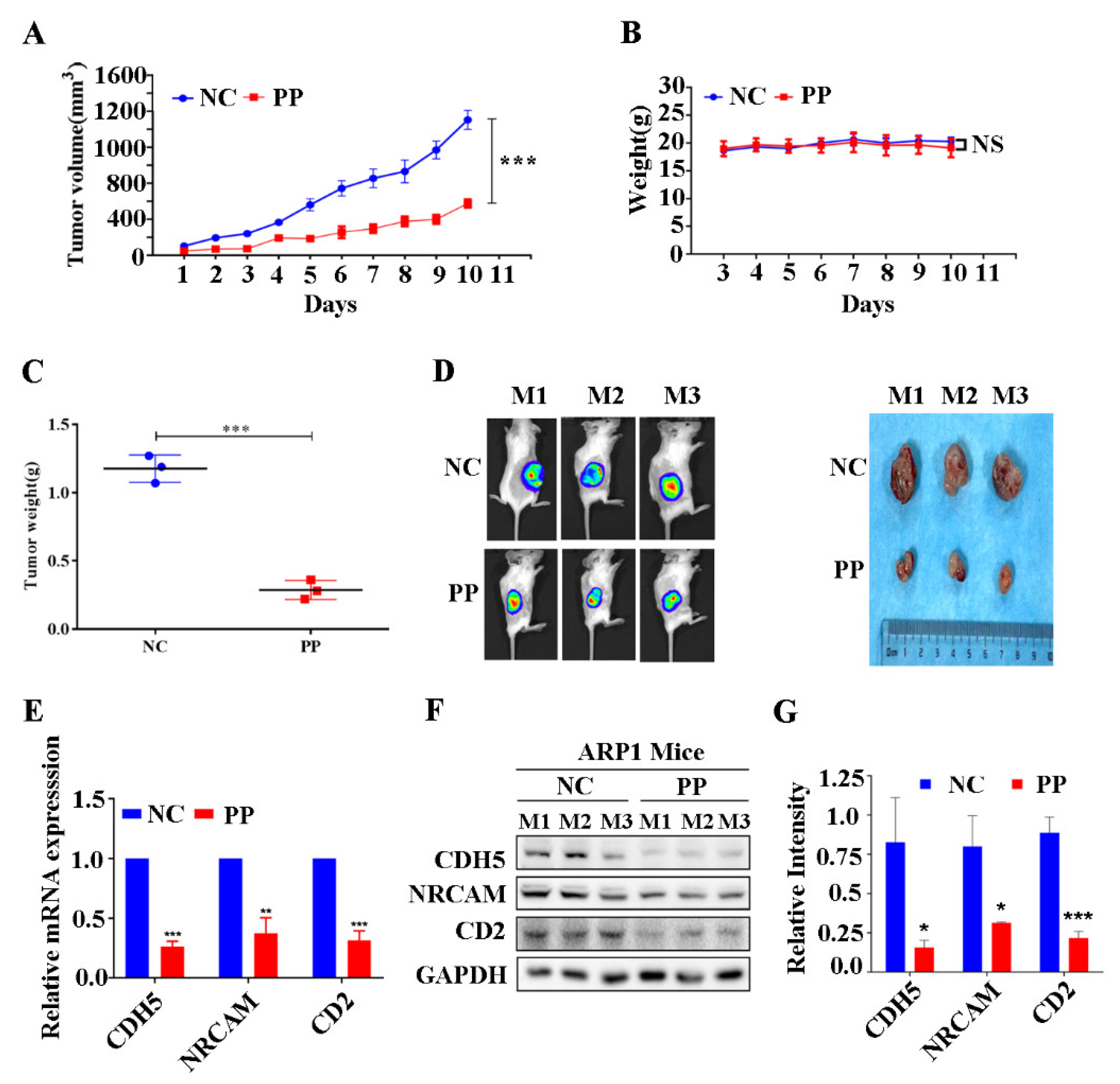 Cancers 15 01526 g005 Cancers 15 01526 g005