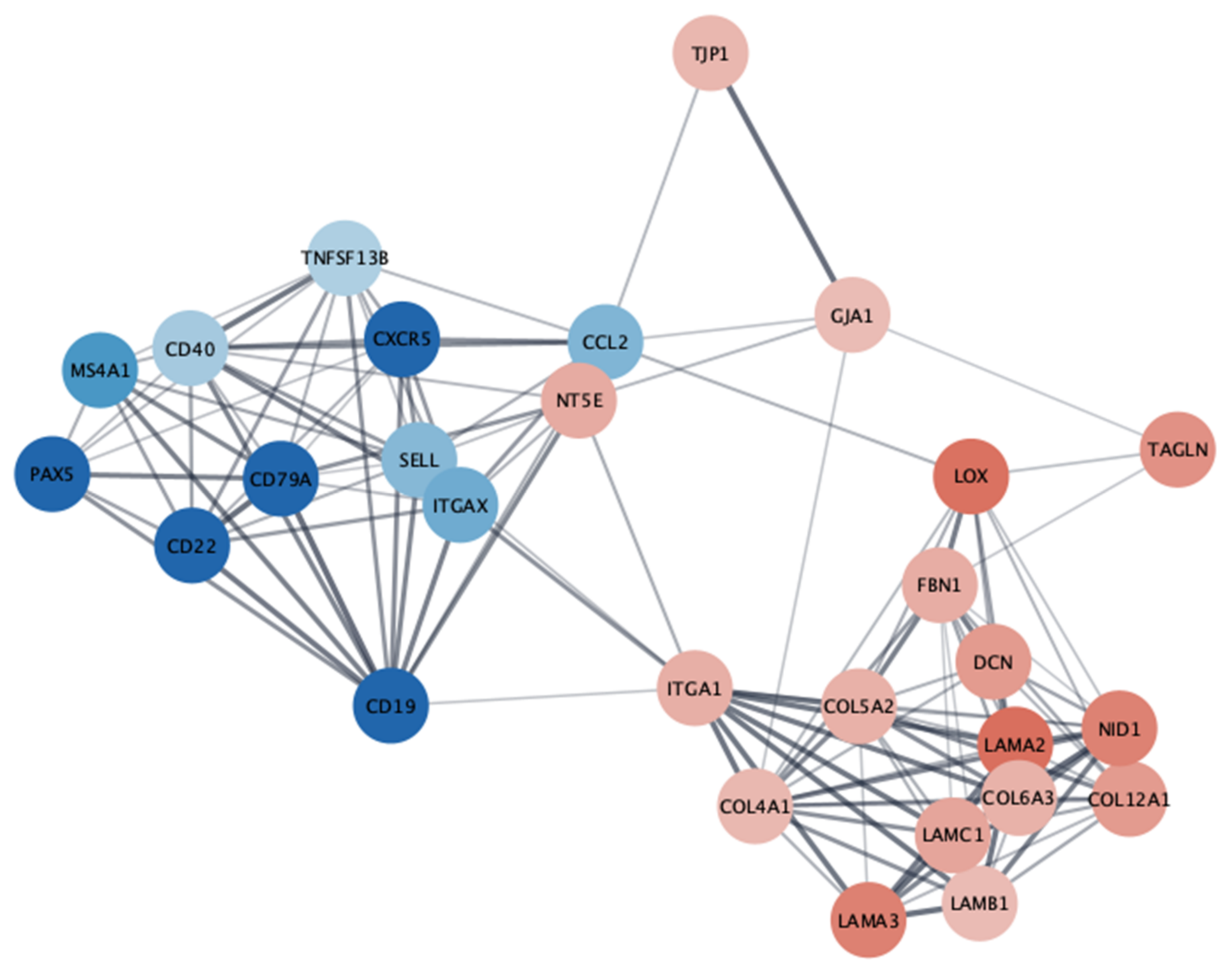 Cancers 15 01527 g007 Cancers 15 01527 g007