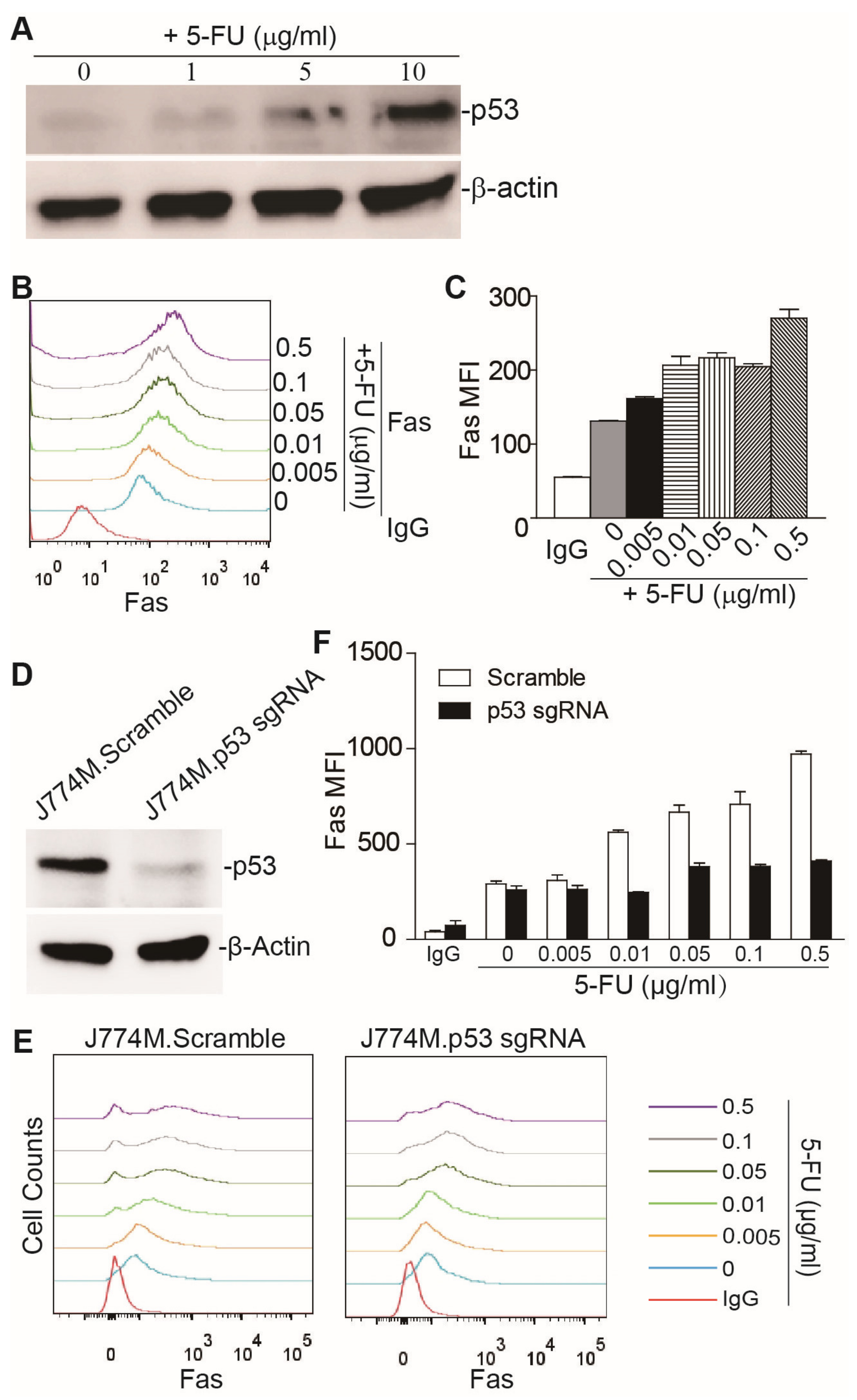 Cancers 15 01563 g001 Cancers 15 01563 g001