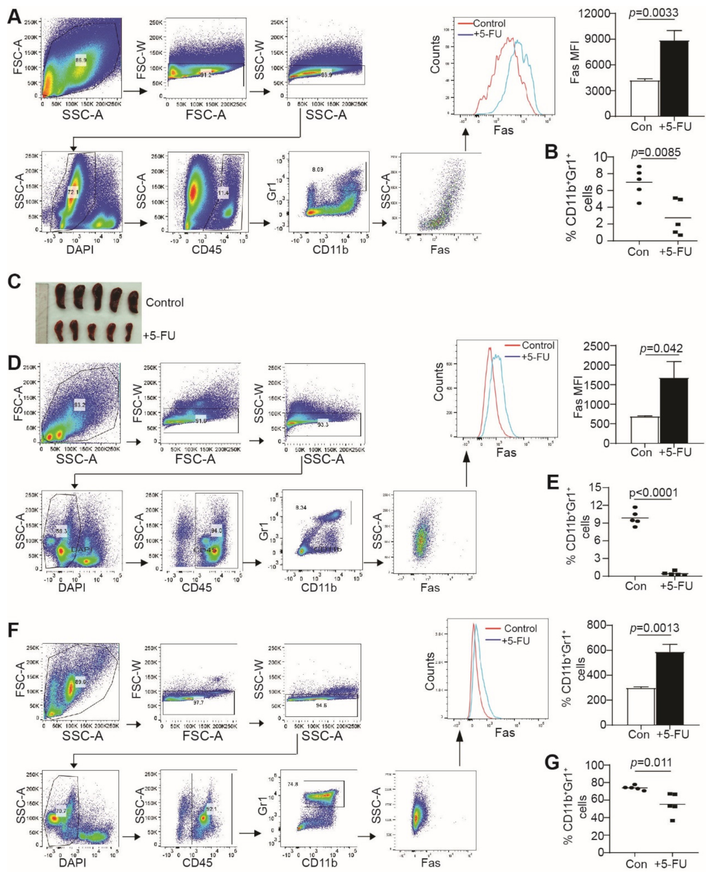 Cancers 15 01563 g003 Cancers 15 01563 g003