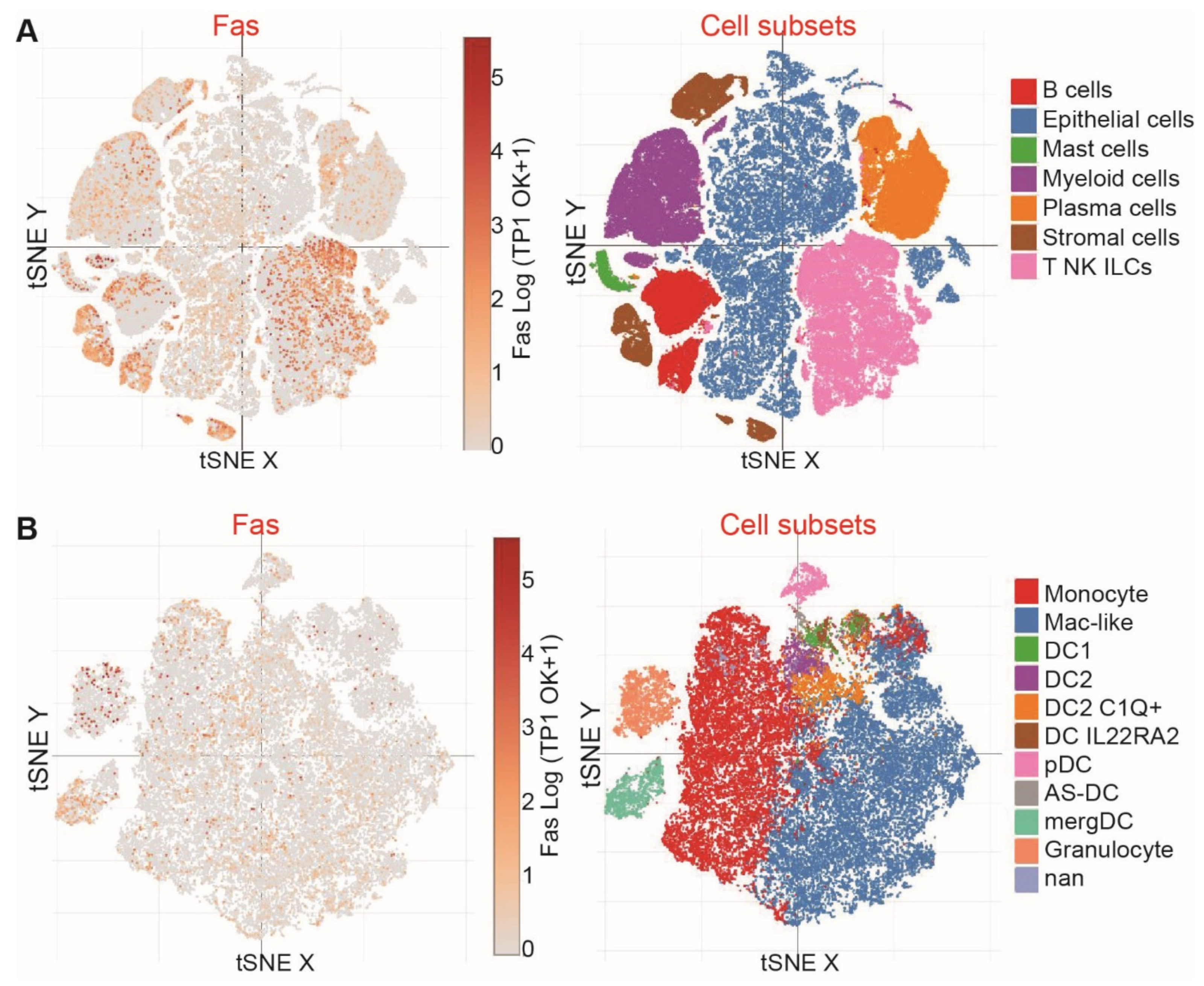 Cancers 15 01563 g005 Cancers 15 01563 g005