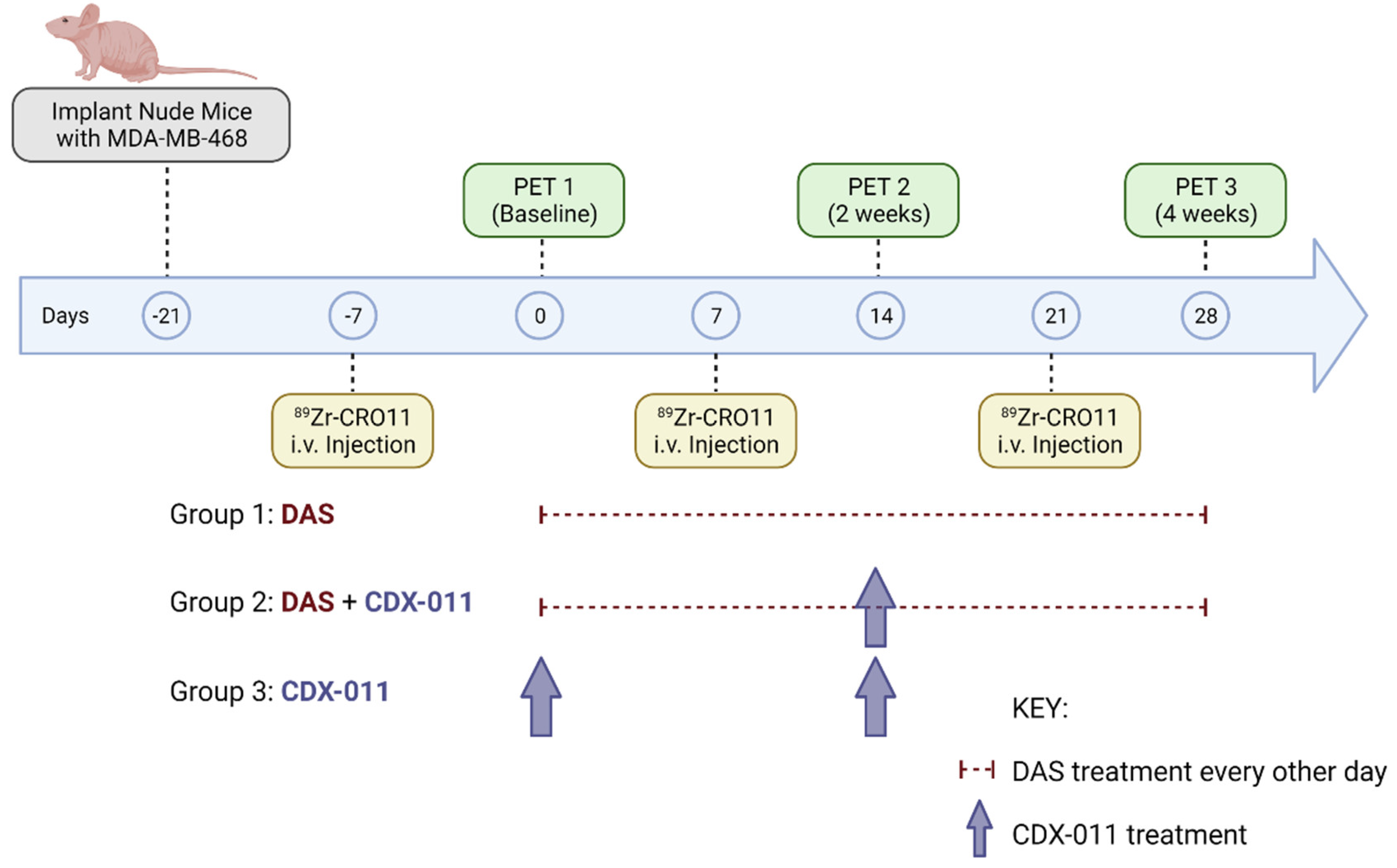 Cancers 15 01589 g001 Cancers 15 01589 g001