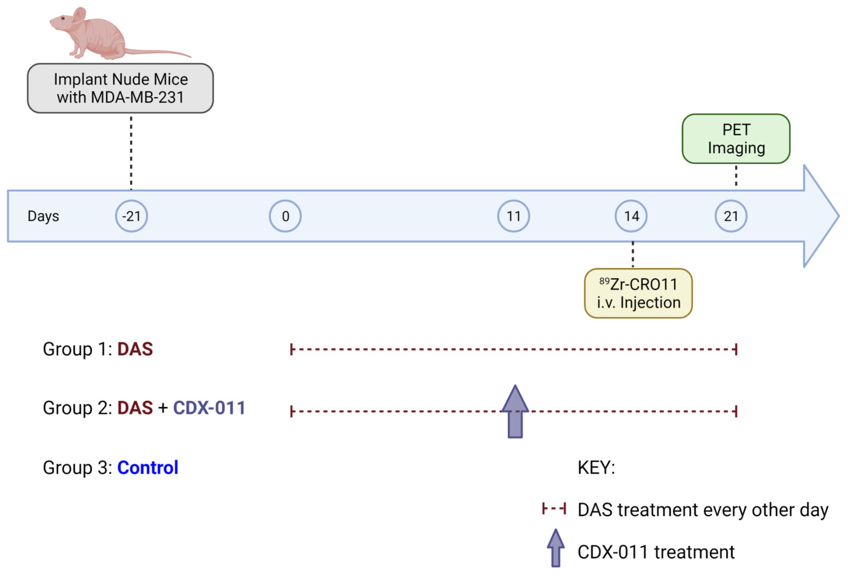 Cancers 15 01589 g002 Cancers 15 01589 g002