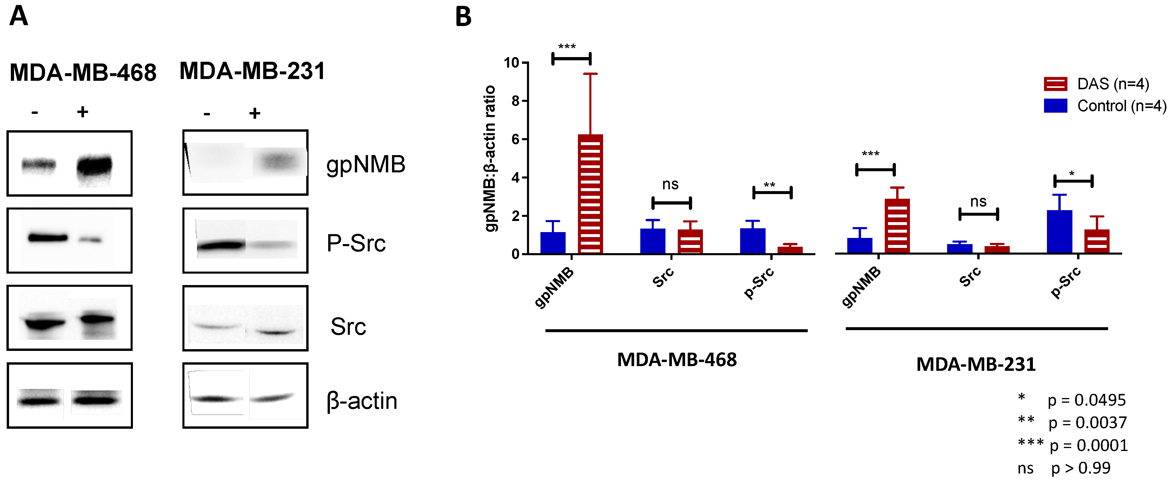 Cancers 15 01589 g003 Cancers 15 01589 g003