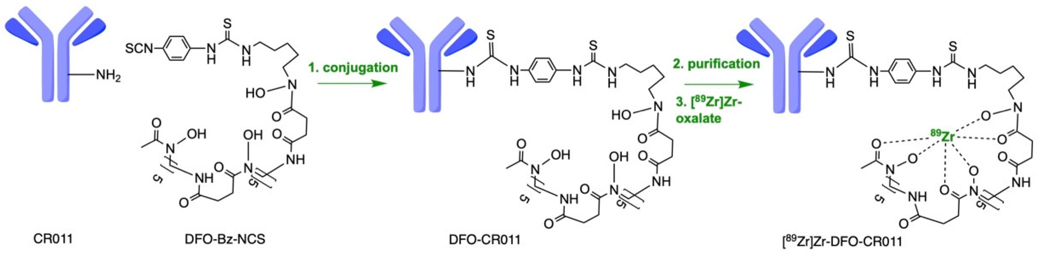 Cancers 15 01589 sch001 Cancers 15 01589 sch001