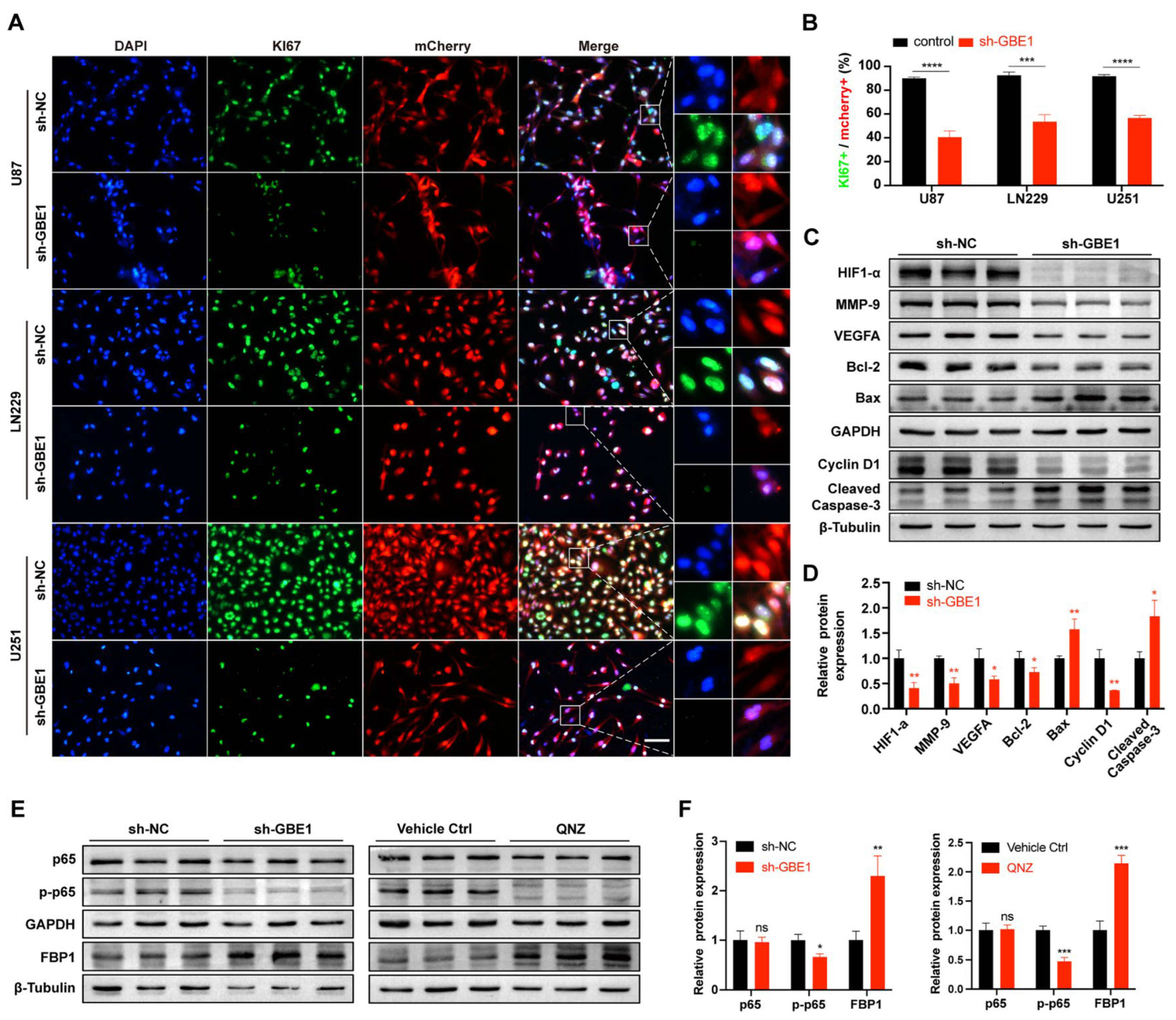 Cancers 15 01594 g004 Cancers 15 01594 g004
