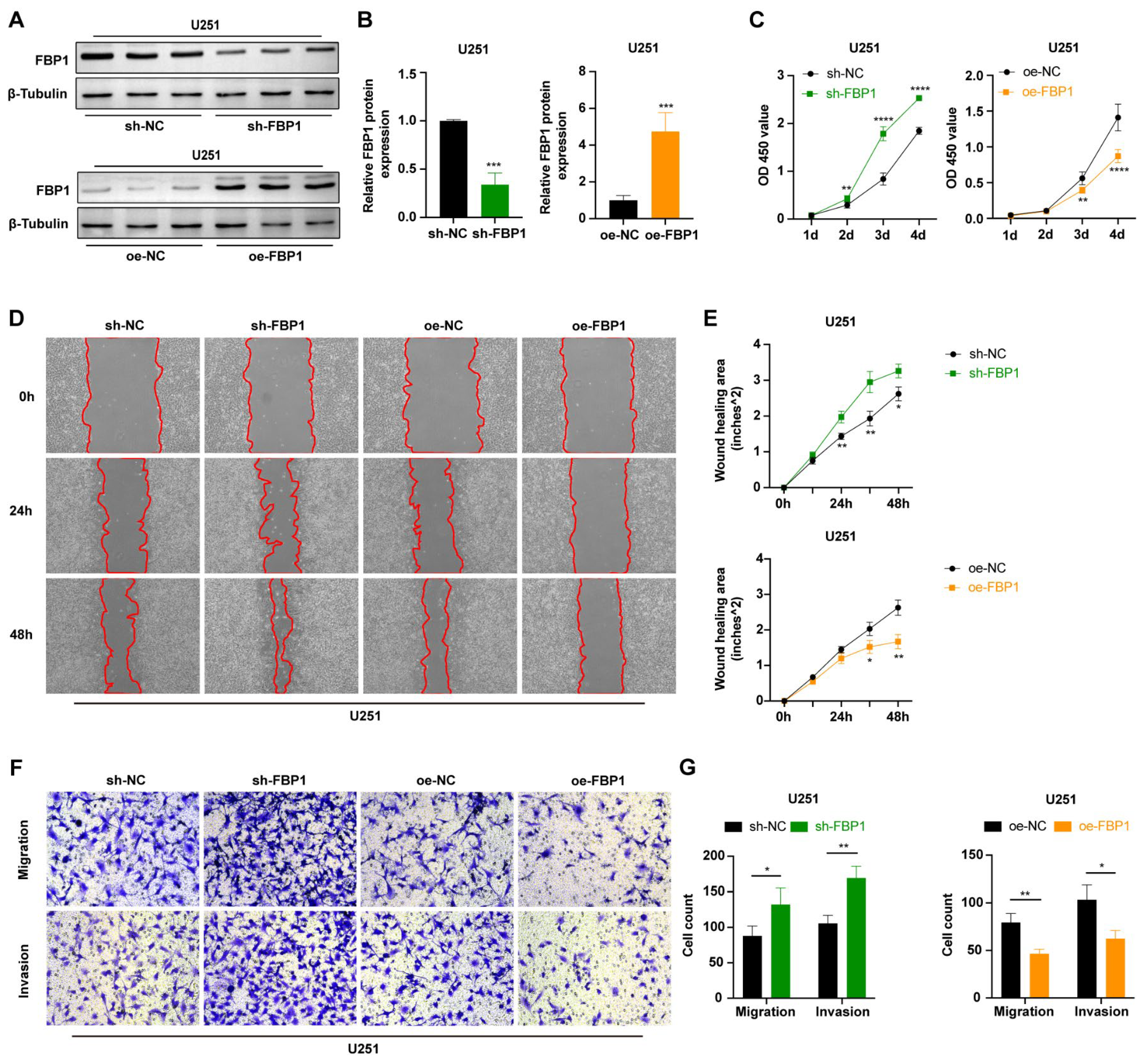 Cancers 15 01594 g005 Cancers 15 01594 g005