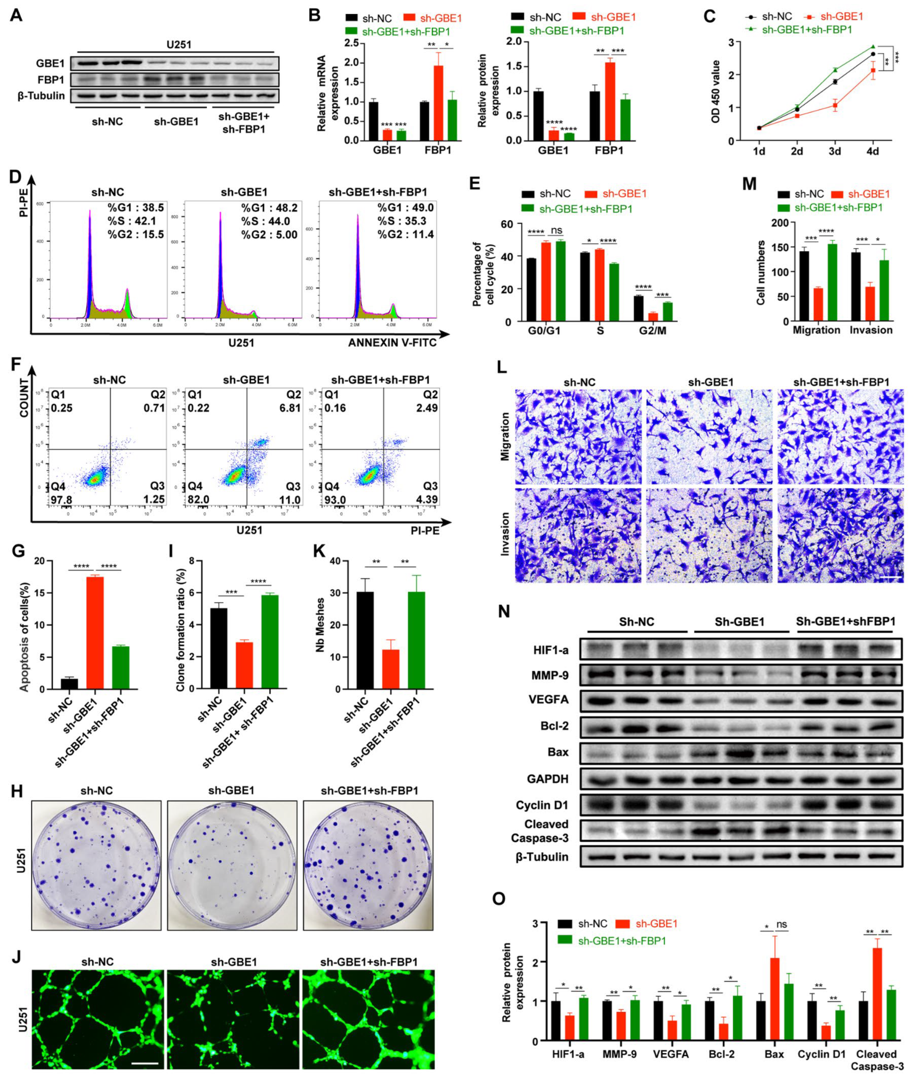 Cancers 15 01594 g006 Cancers 15 01594 g006