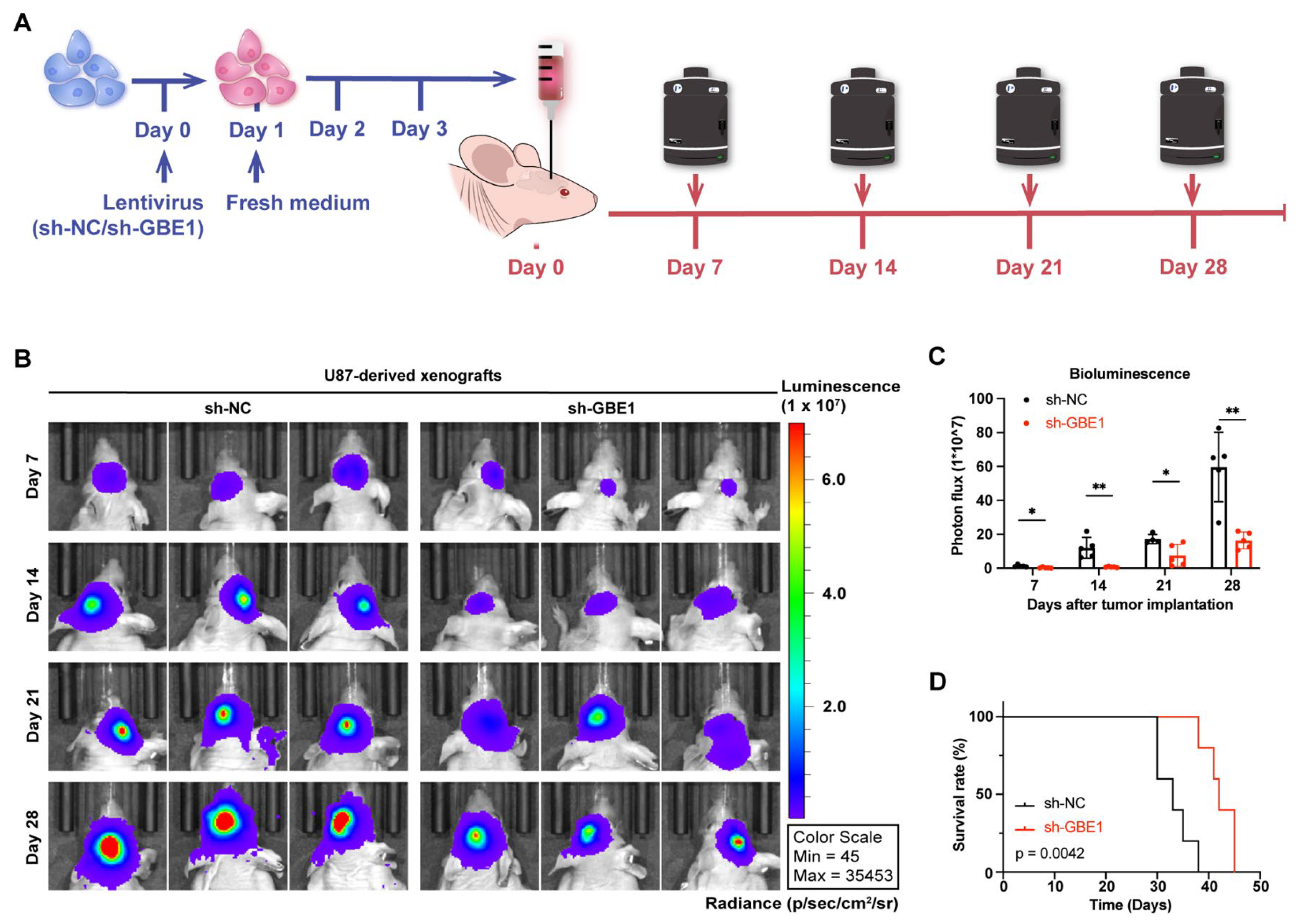 Cancers 15 01594 g008 Cancers 15 01594 g008