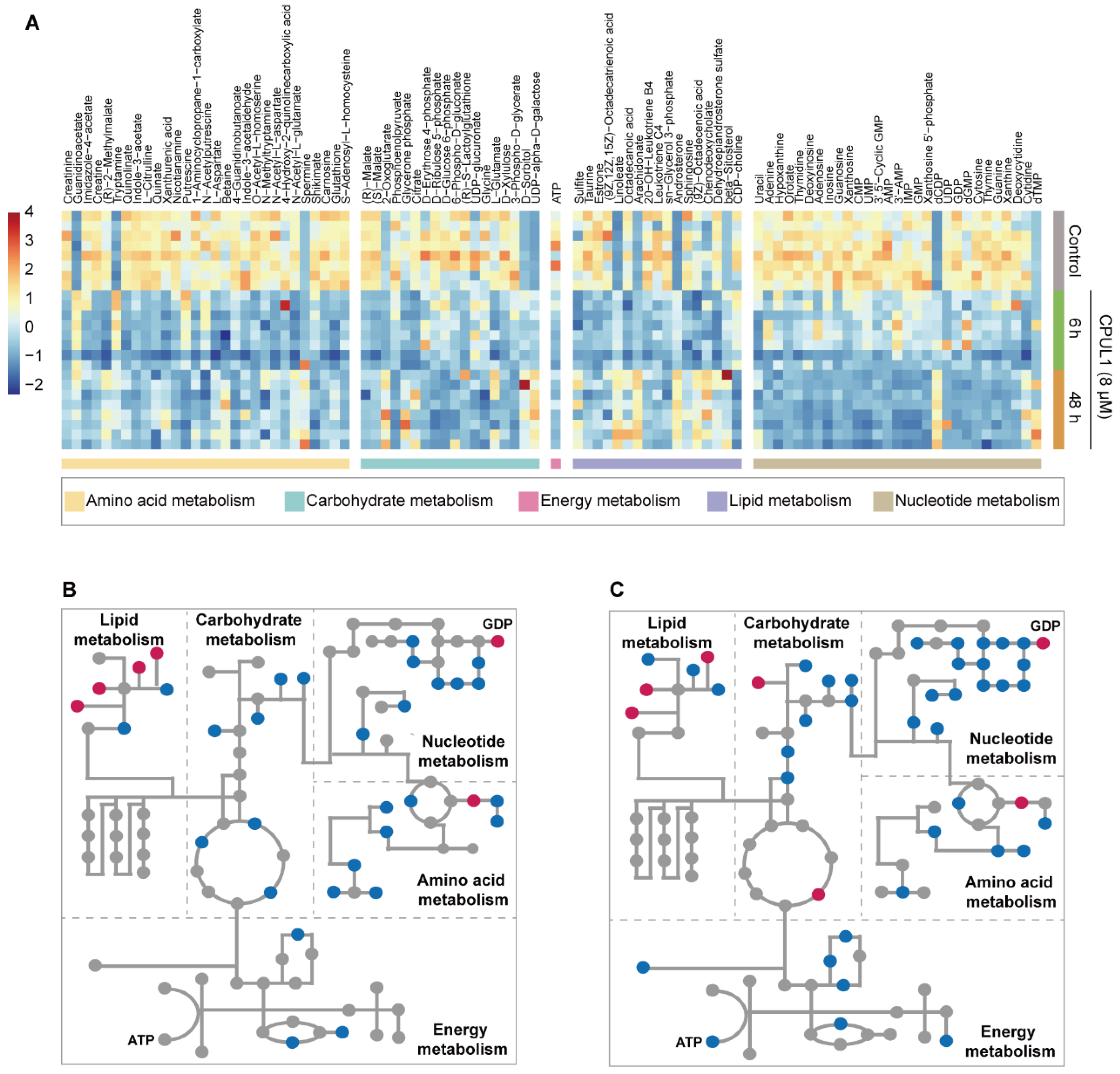 Cancers 15 01607 g007