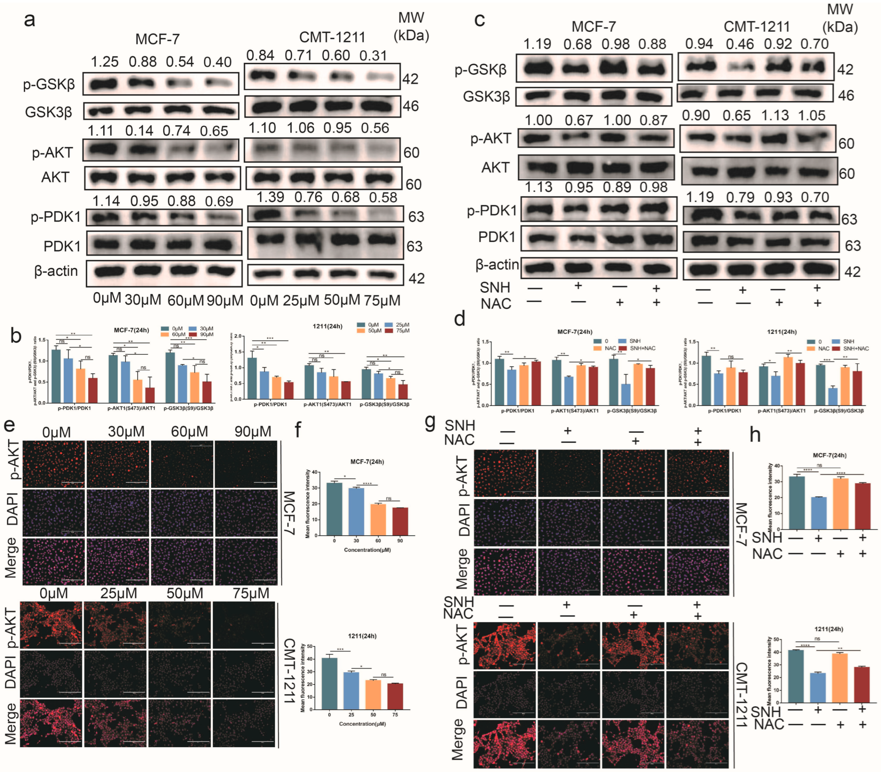 Cancers 15 01614 g005 Cancers 15 01614 g005