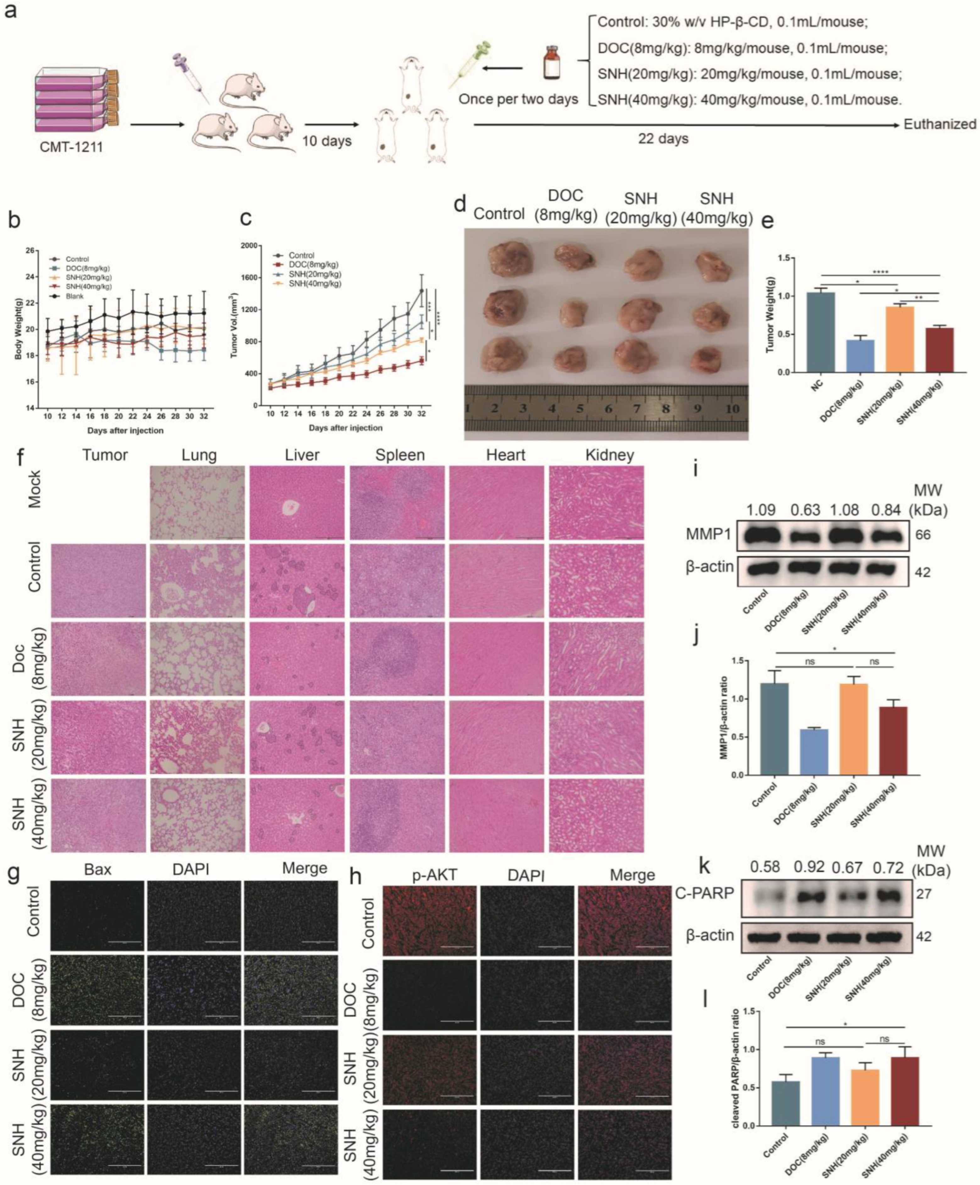 Cancers 15 01614 g006 Cancers 15 01614 g006