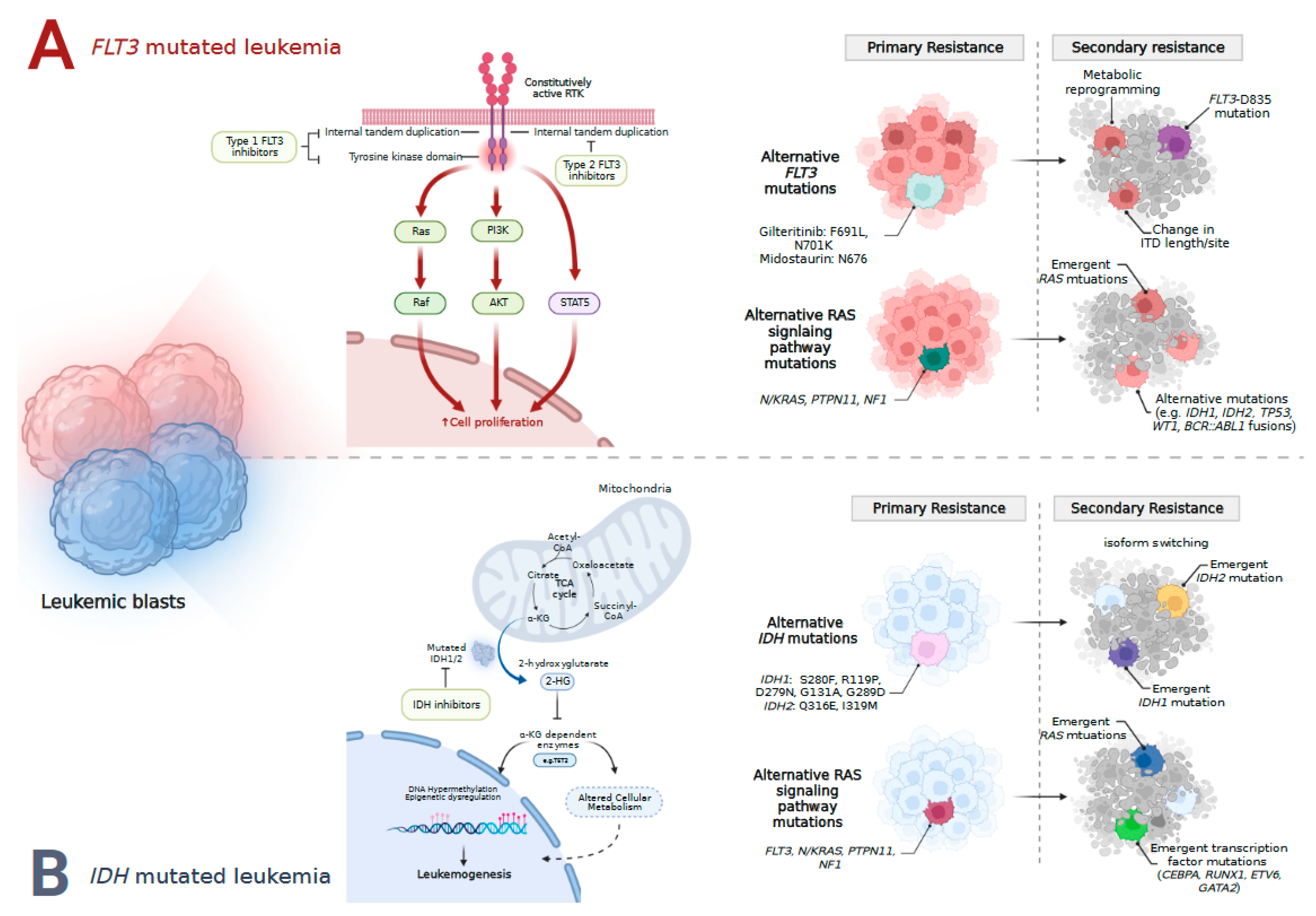 Cancers 15 01617 g002 Cancers 15 01617 g002