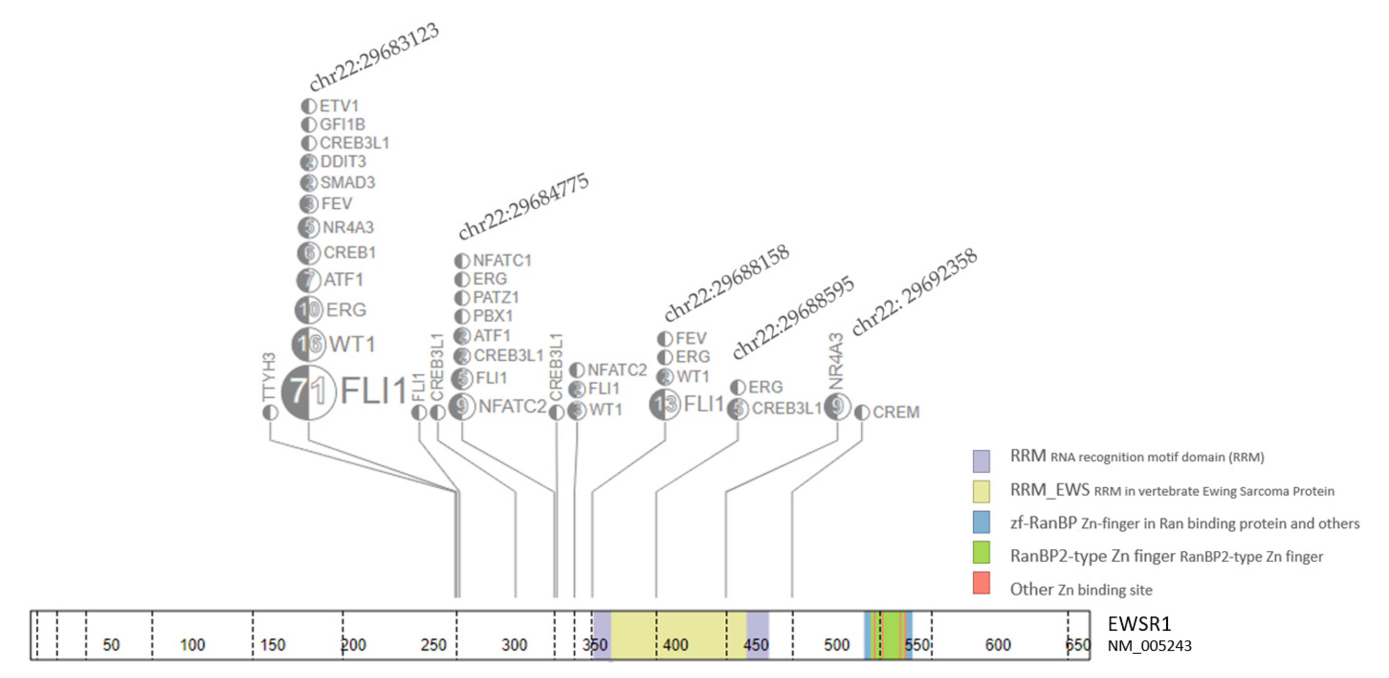 Cancers 15 01623 g002 Cancers 15 01623 g002