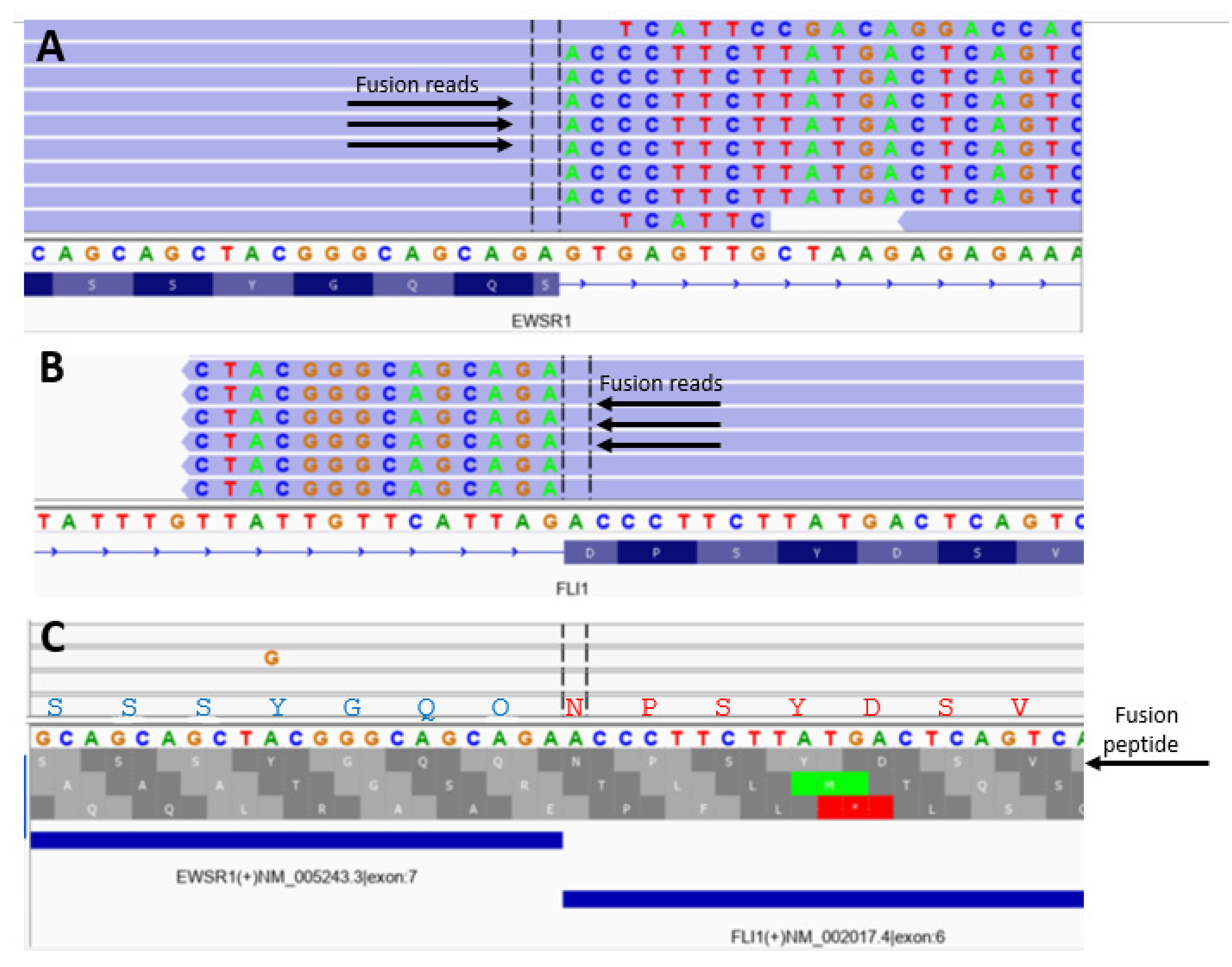 Cancers 15 01623 g003 Cancers 15 01623 g003