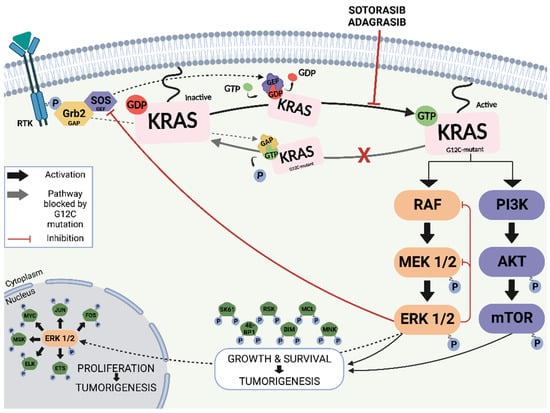 Treatment Strategies For KRAS-Mutated Non-Small-Cell Lung Cancer