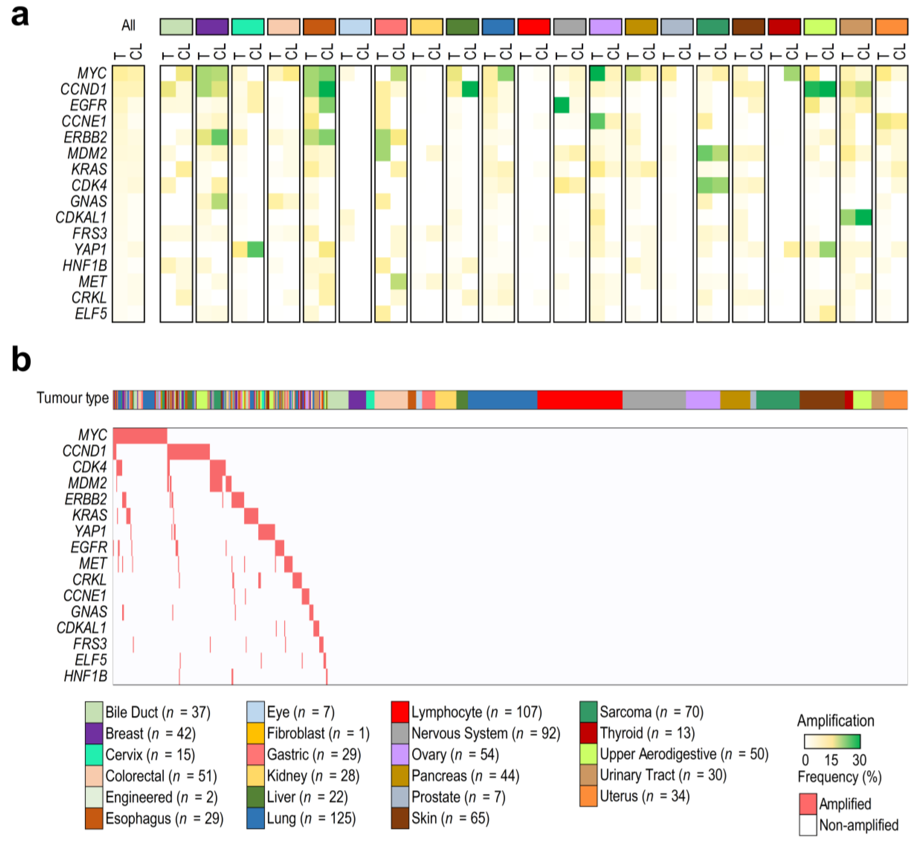 Cancers 15 01636 g001