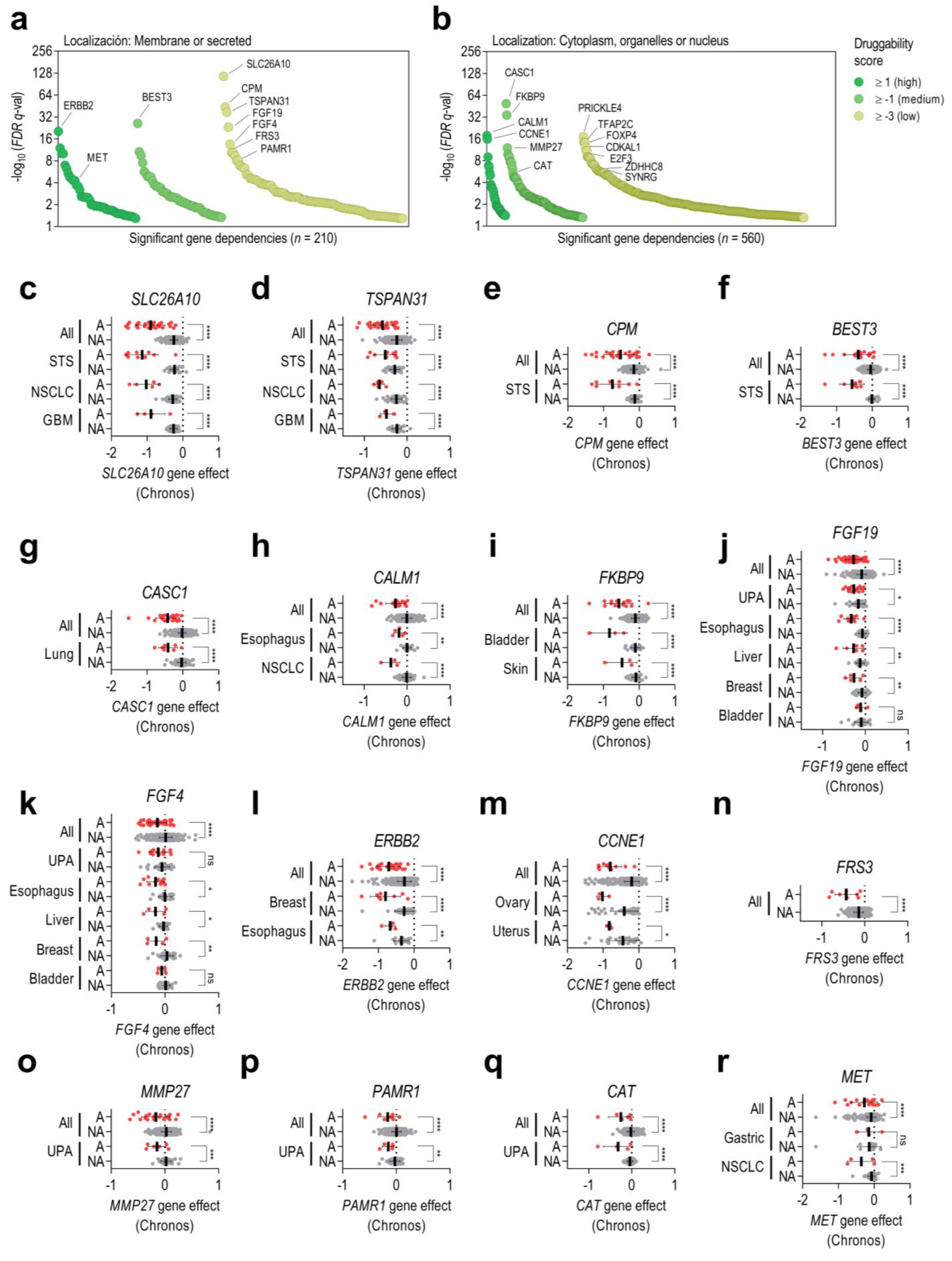 Cancers 15 01636 g003