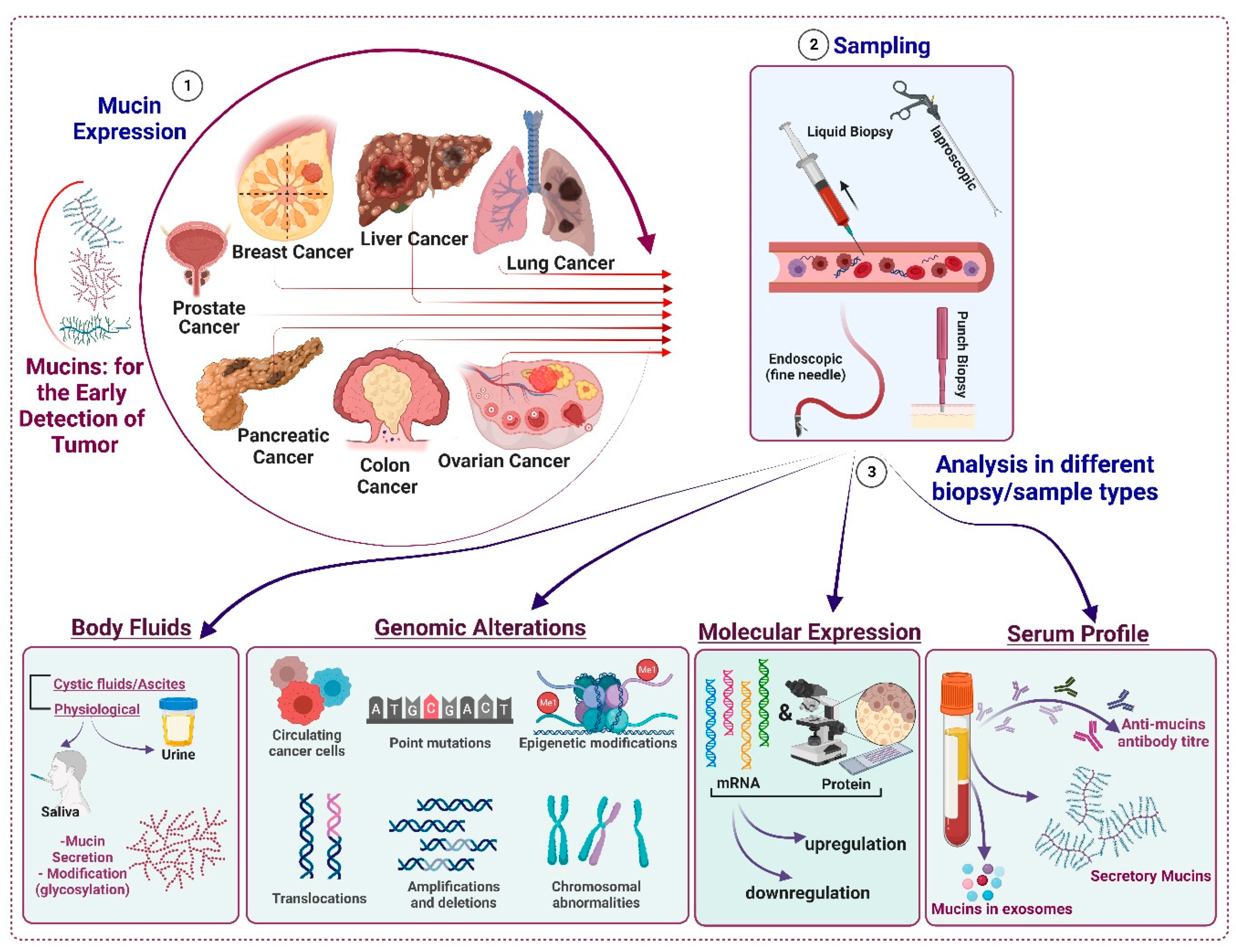 CA 27.29 & CA 15.3; Breast Cancer Marker Panel