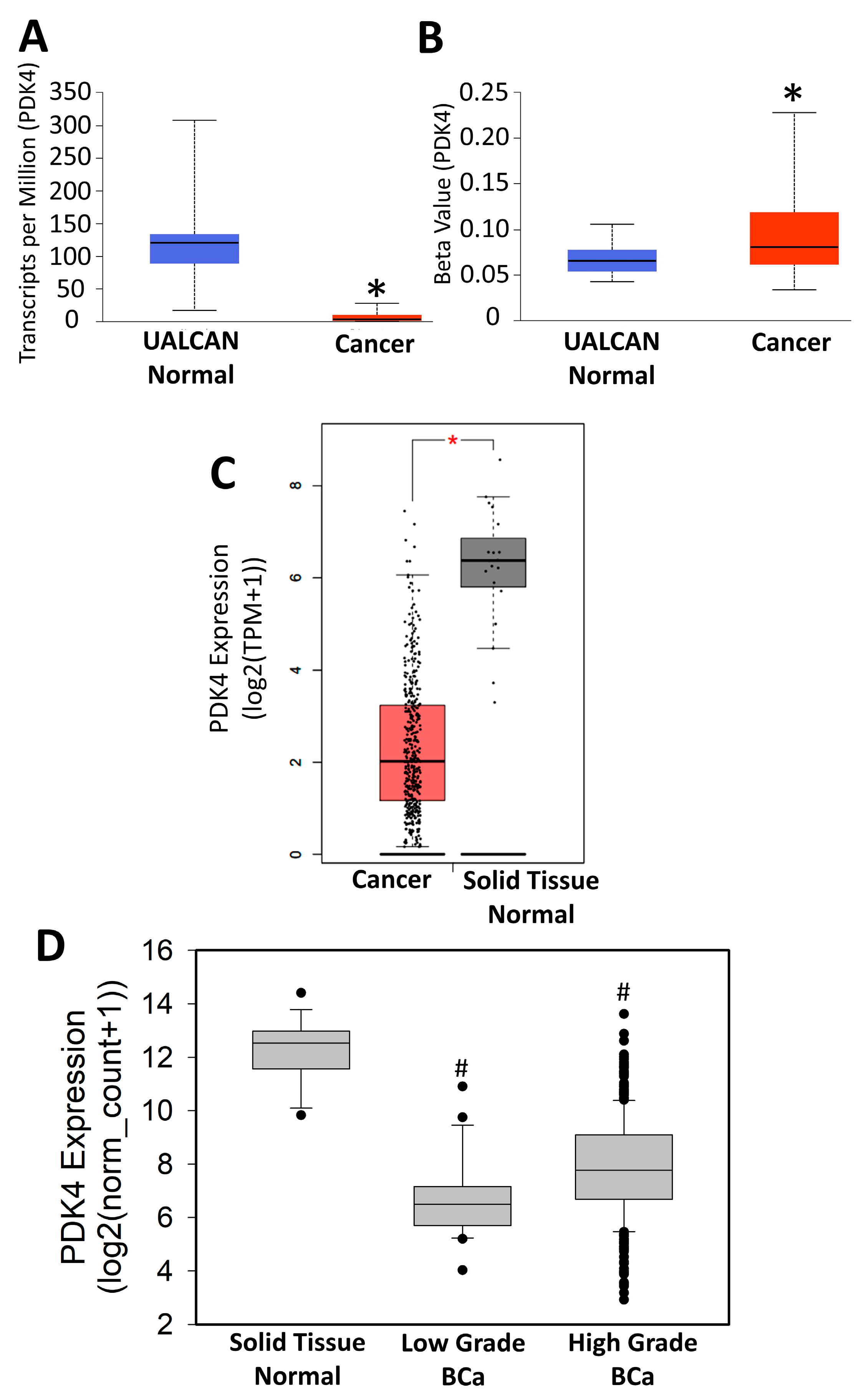 Cancers 15 01654 g004 Cancers 15 01654 g004