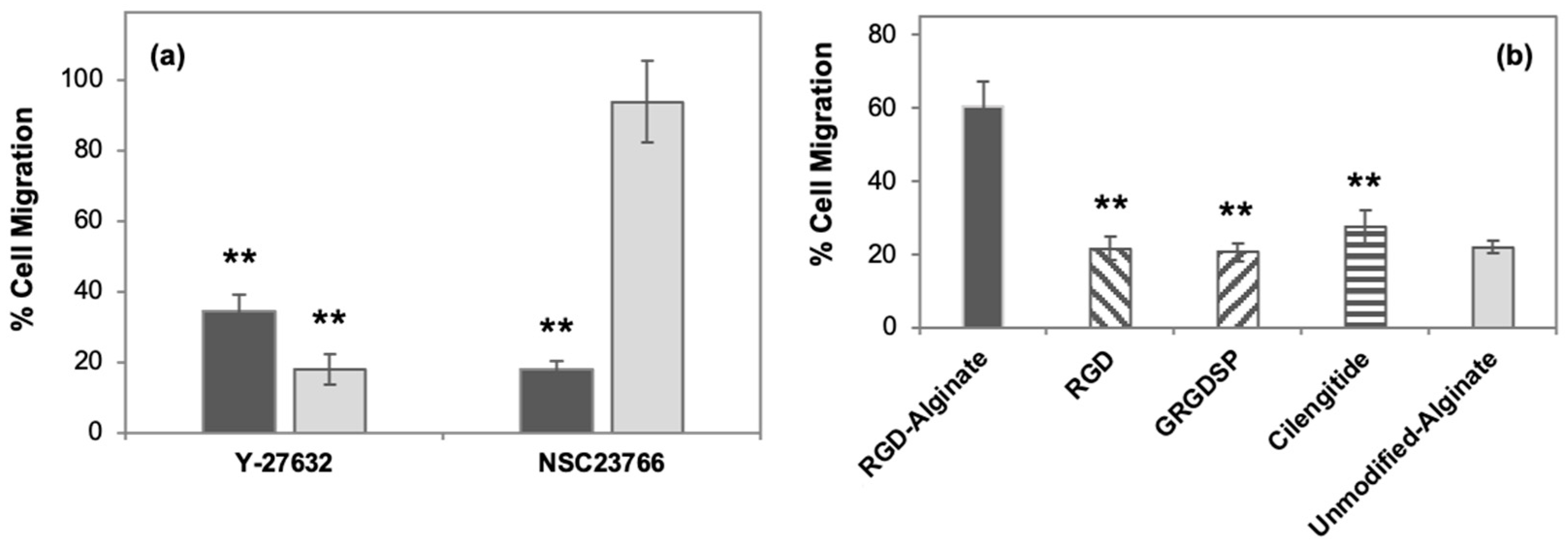 Cancers 15 01729 g005 Cancers 15 01729 g005