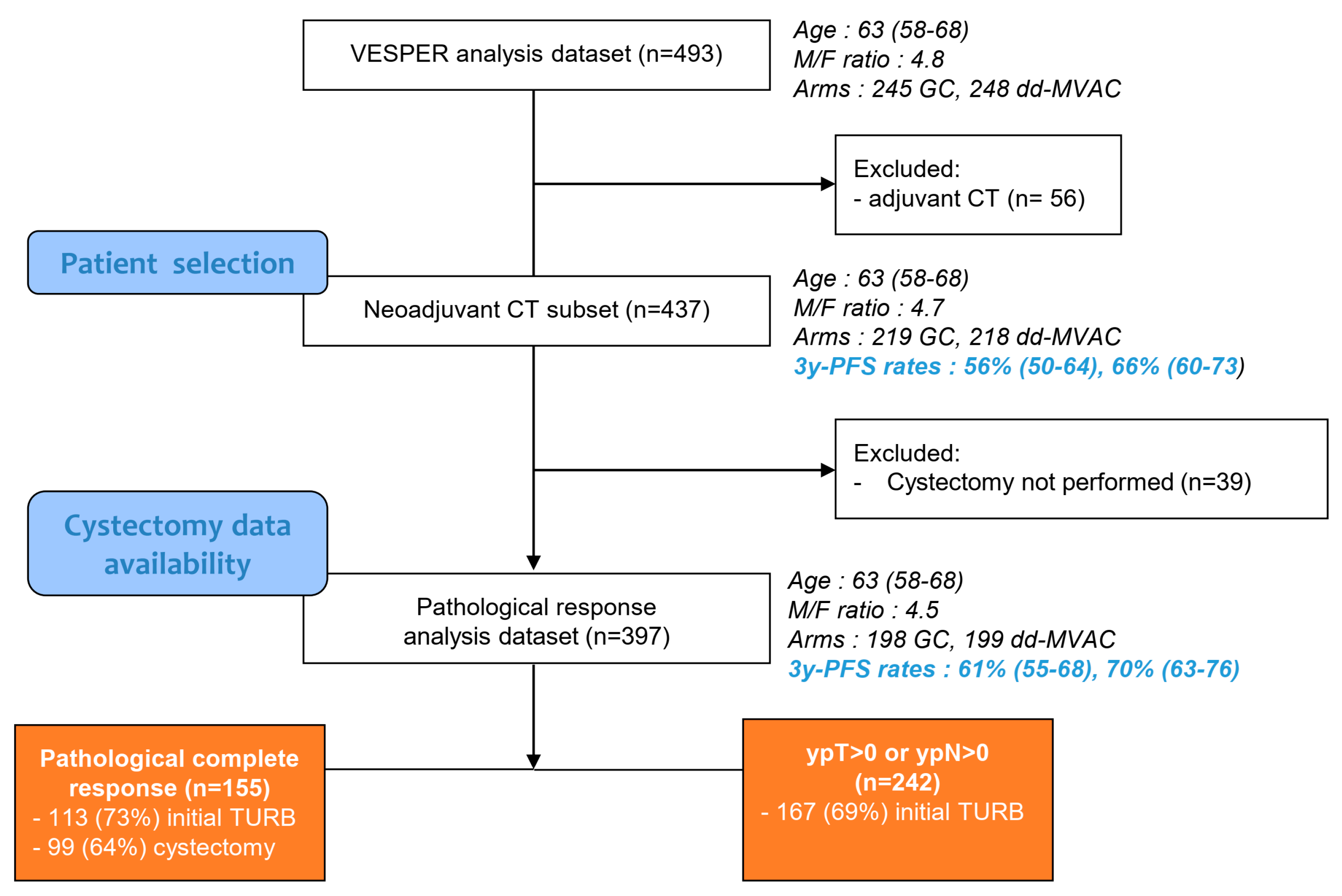 Cancers | Free Full-Text | Refining the Characterization and Outcome of  Pathological Complete Responders after Neoadjuvant Chemotherapy for  Muscle-Invasive Bladder Cancer: Lessons from the Randomized Phase III  VESPER (GETUG-AFU V05) Trial
