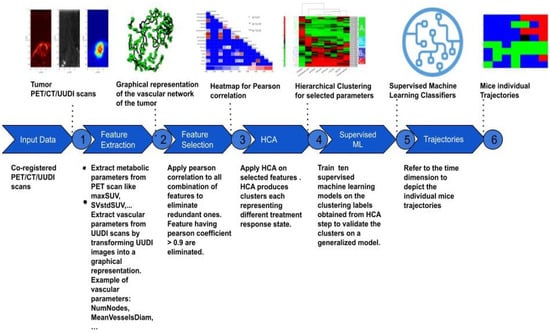 Cancers Free Full Text Machine Learning of Multi Modal Tumor