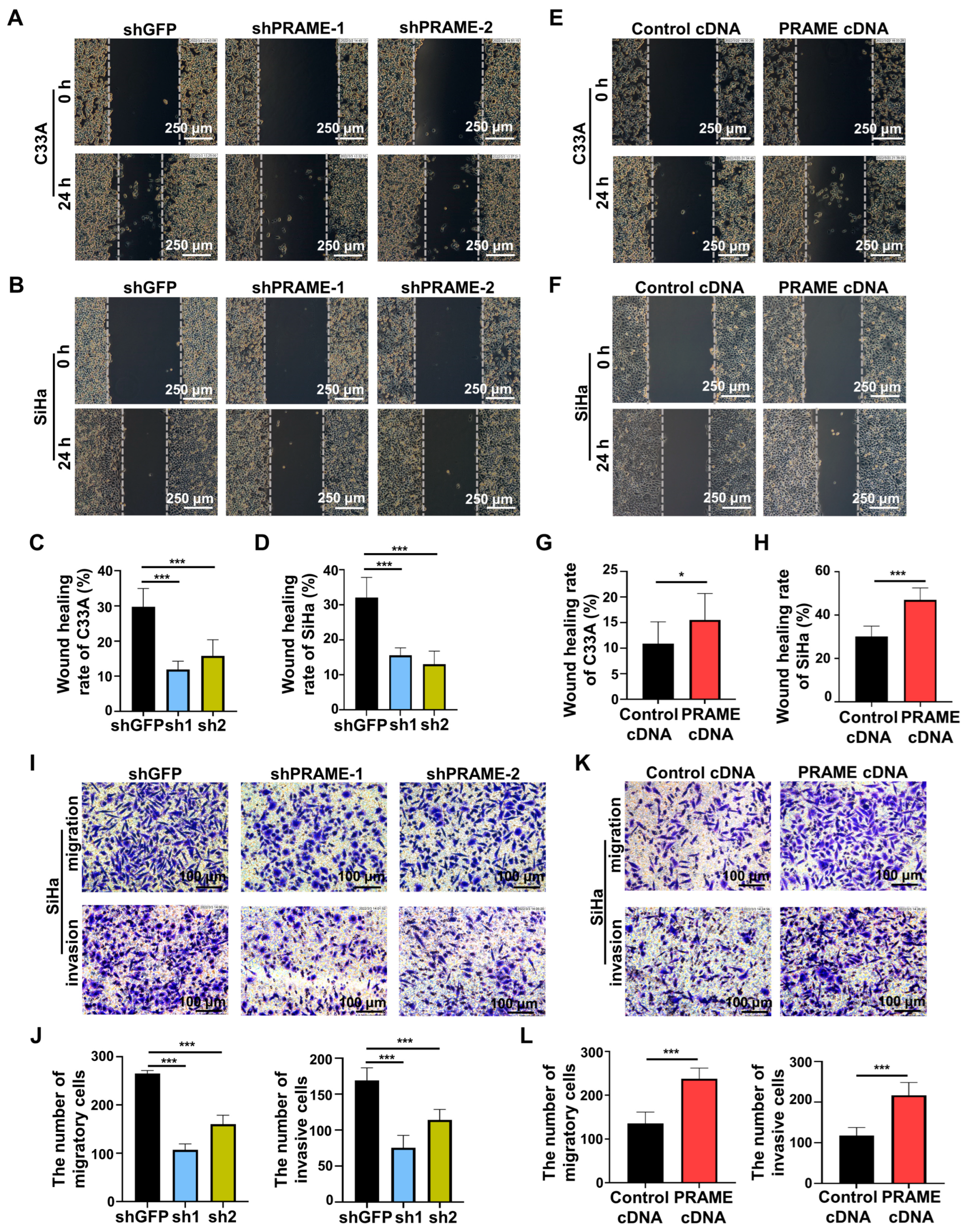 Cancers 15 01801 g004