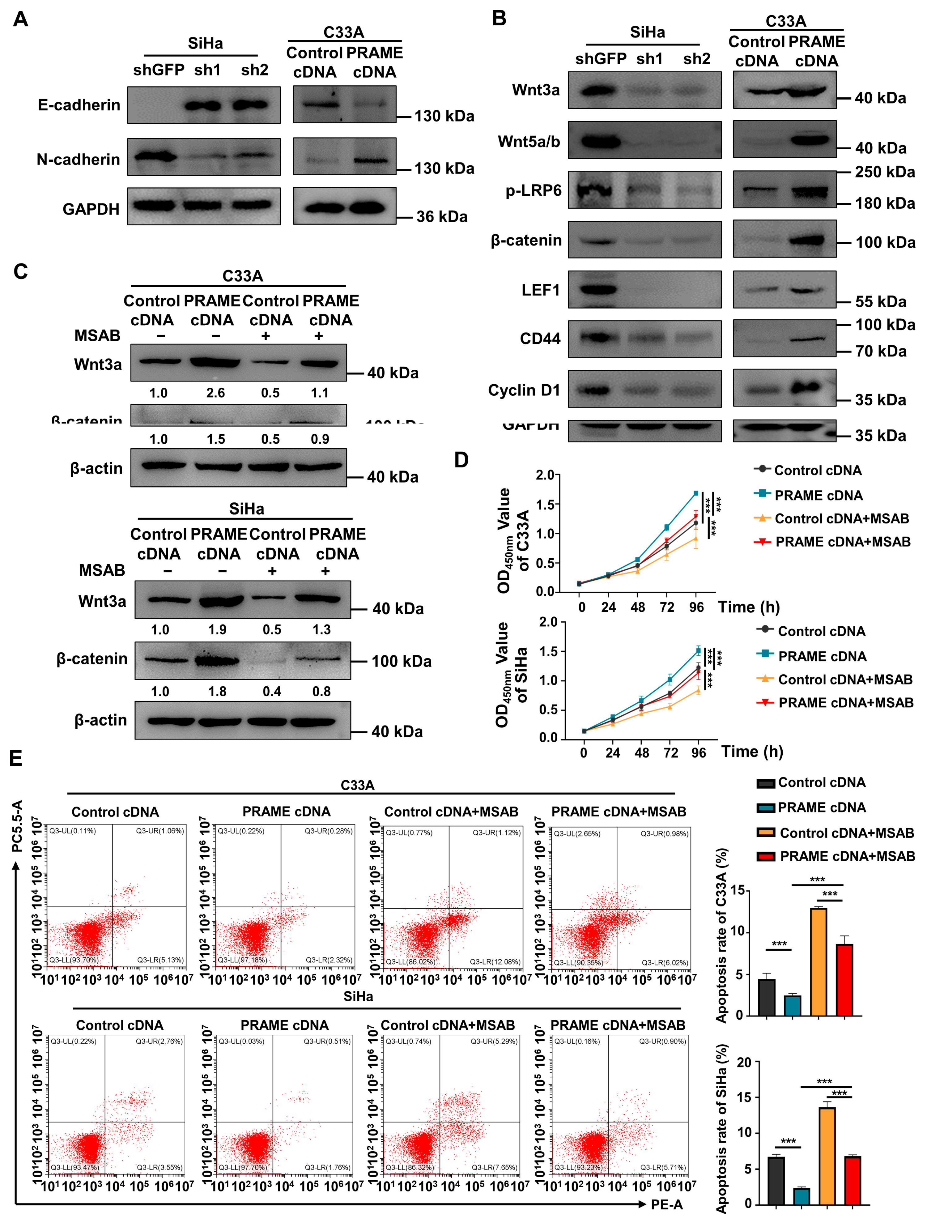 Cancers 15 01801 g005