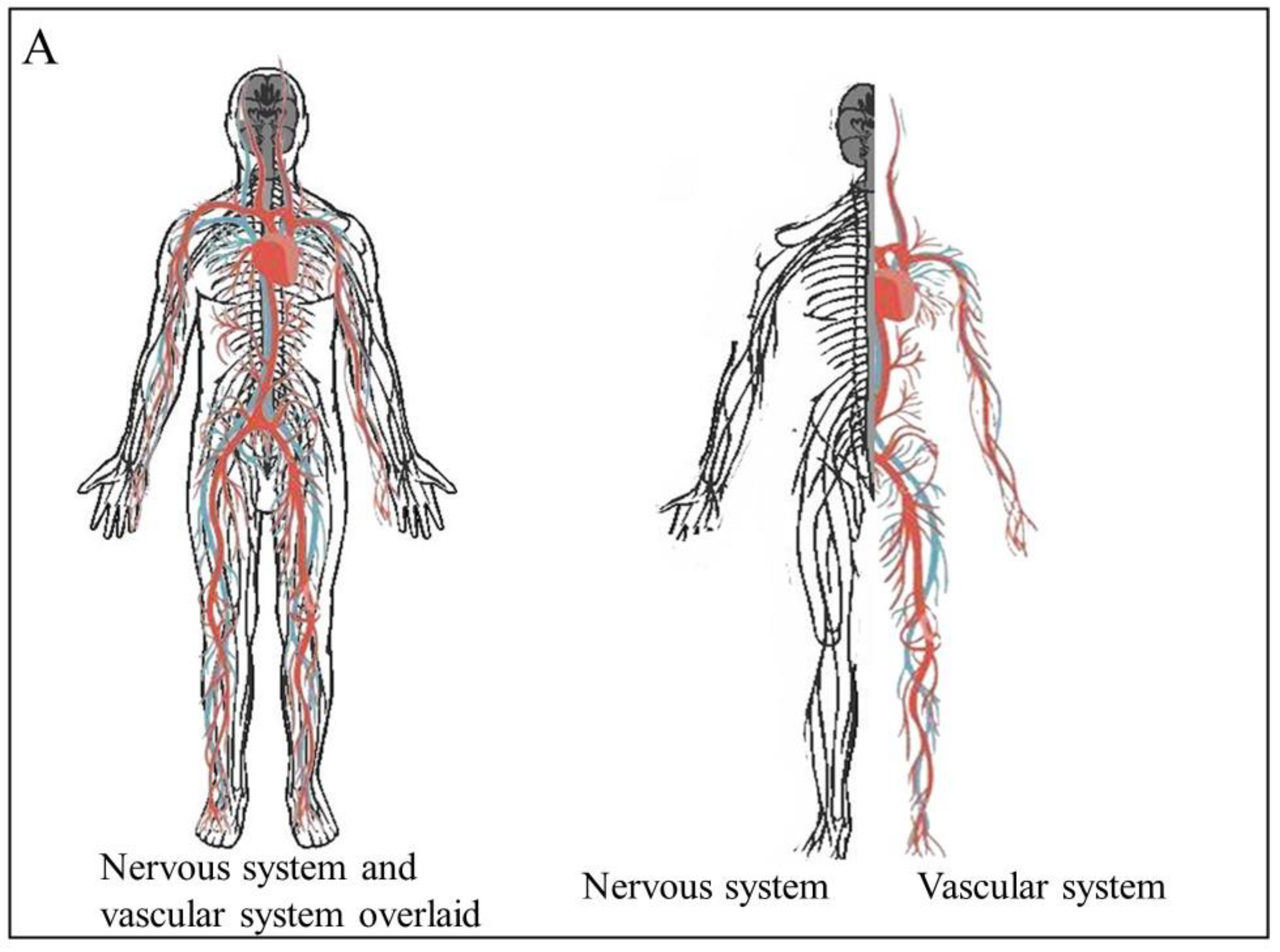 Cancers 15 01805 g001a 550