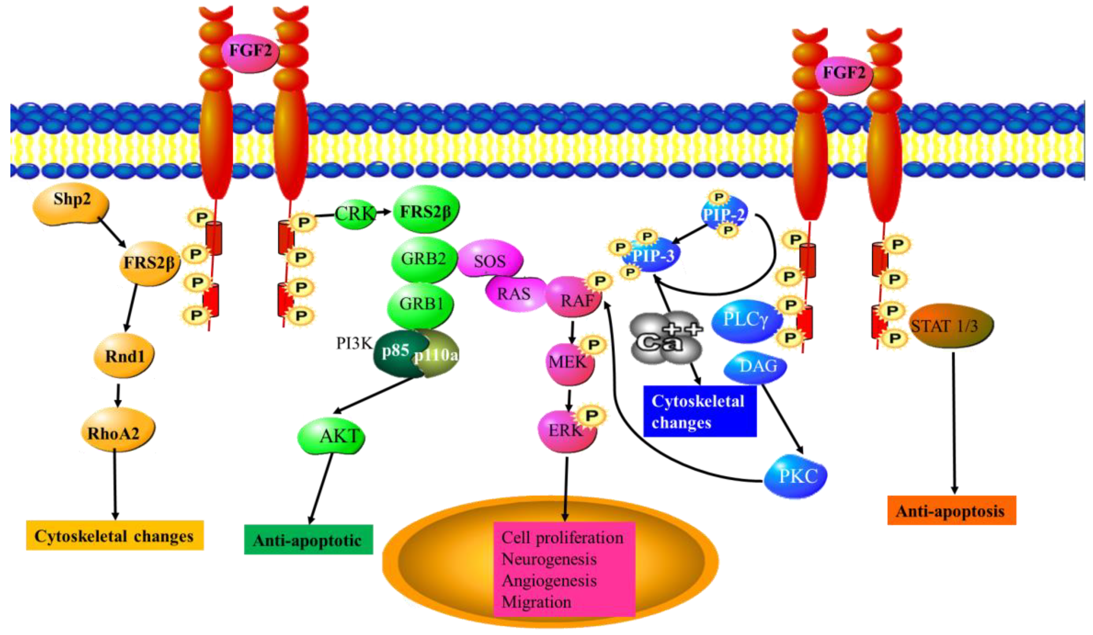 Cancers 15 01805 g002