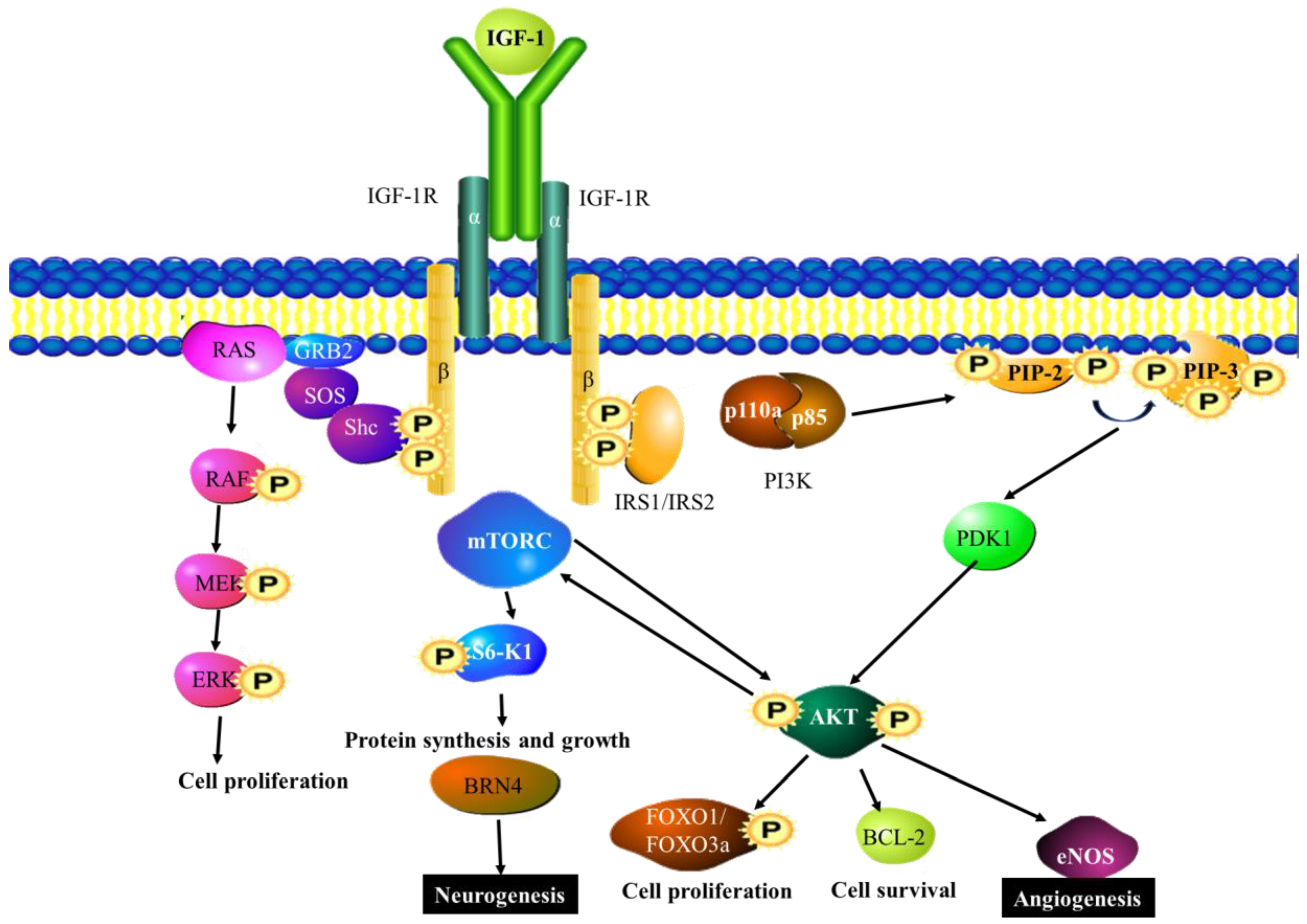 Cancers 15 01805 g003
