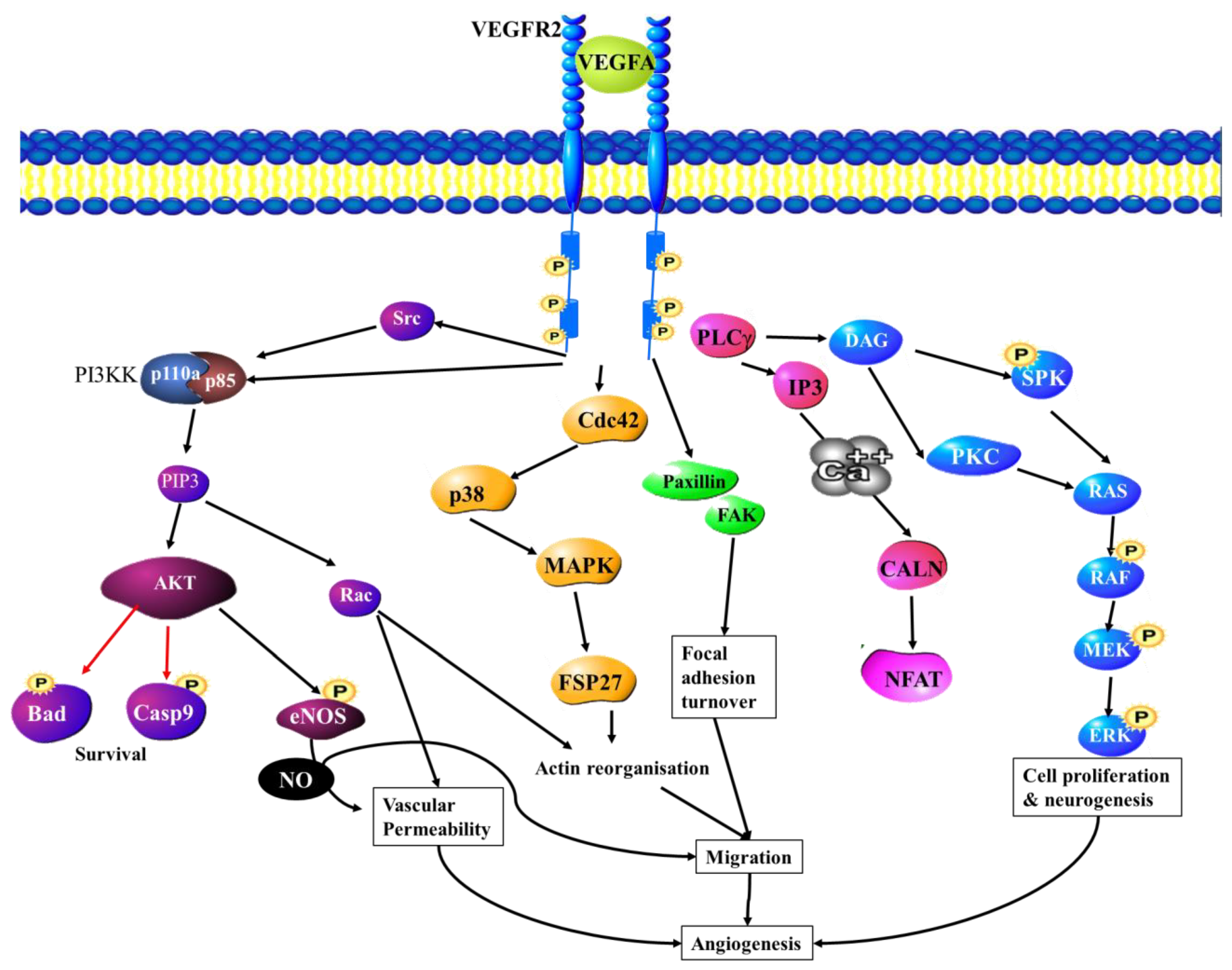 Cancers 15 01805 g004