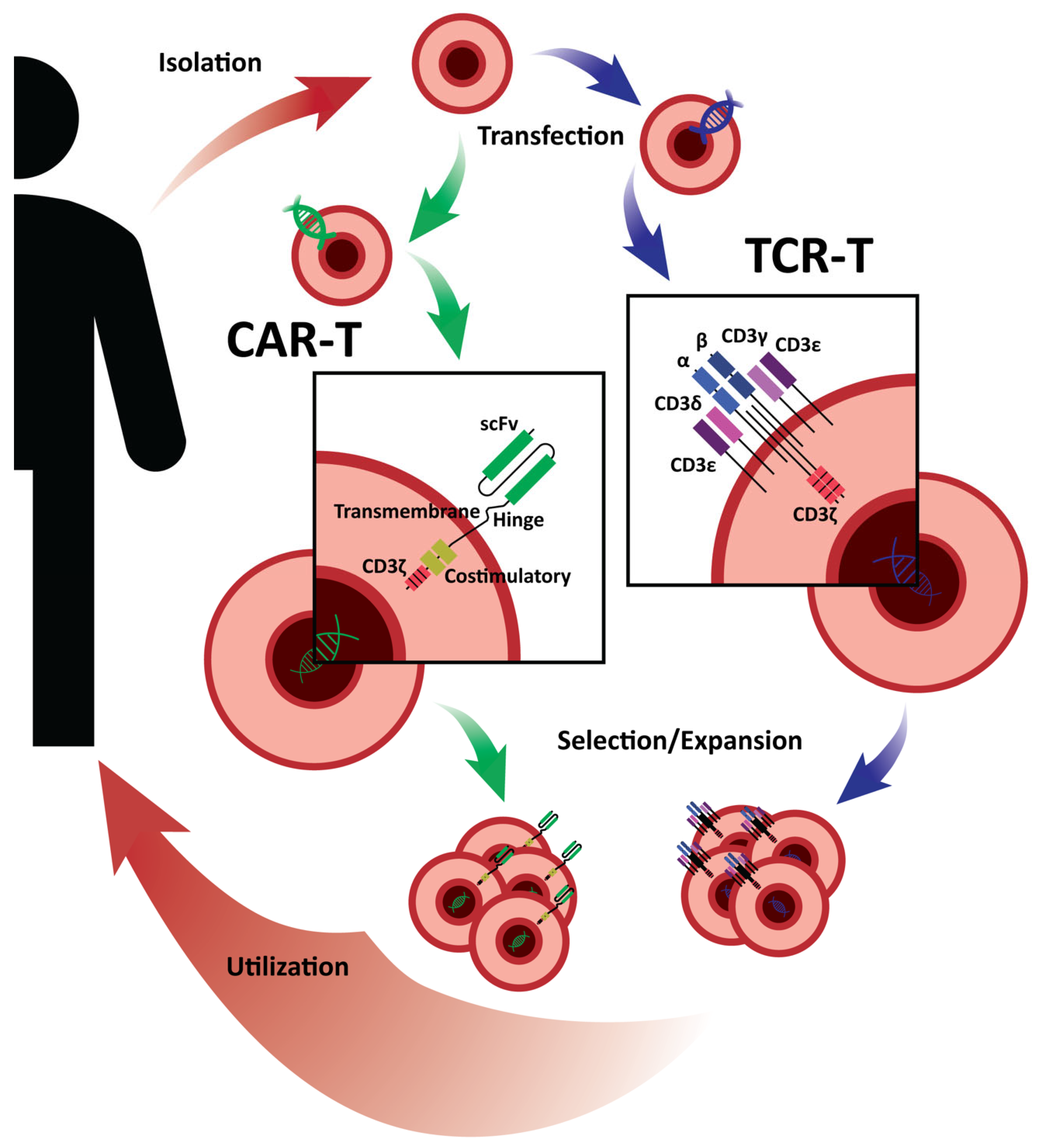 Cancers 15 01808 g001 Cancers 15 01808 g001