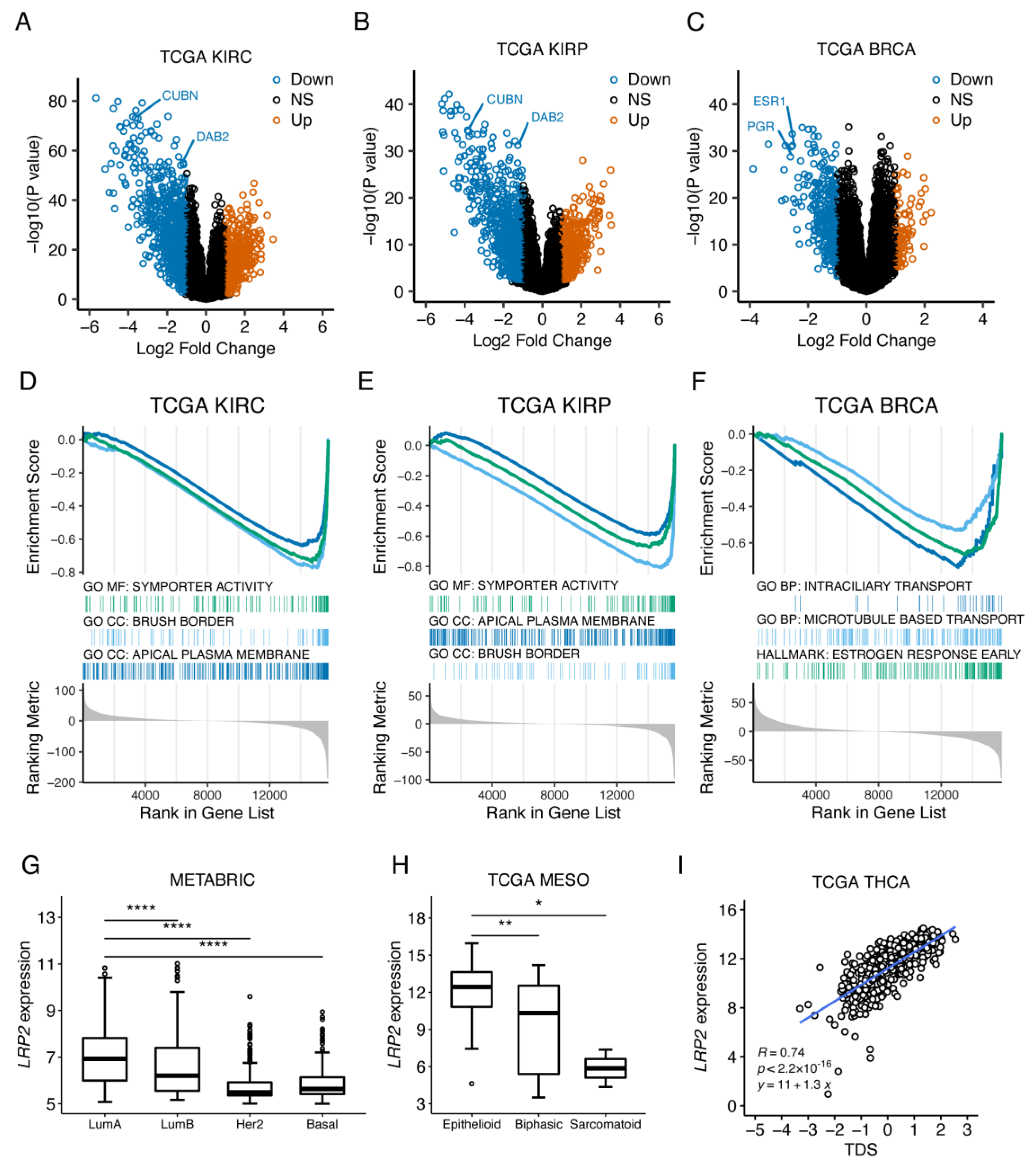 Cancers 15 01830 g008 Cancers 15 01830 g008