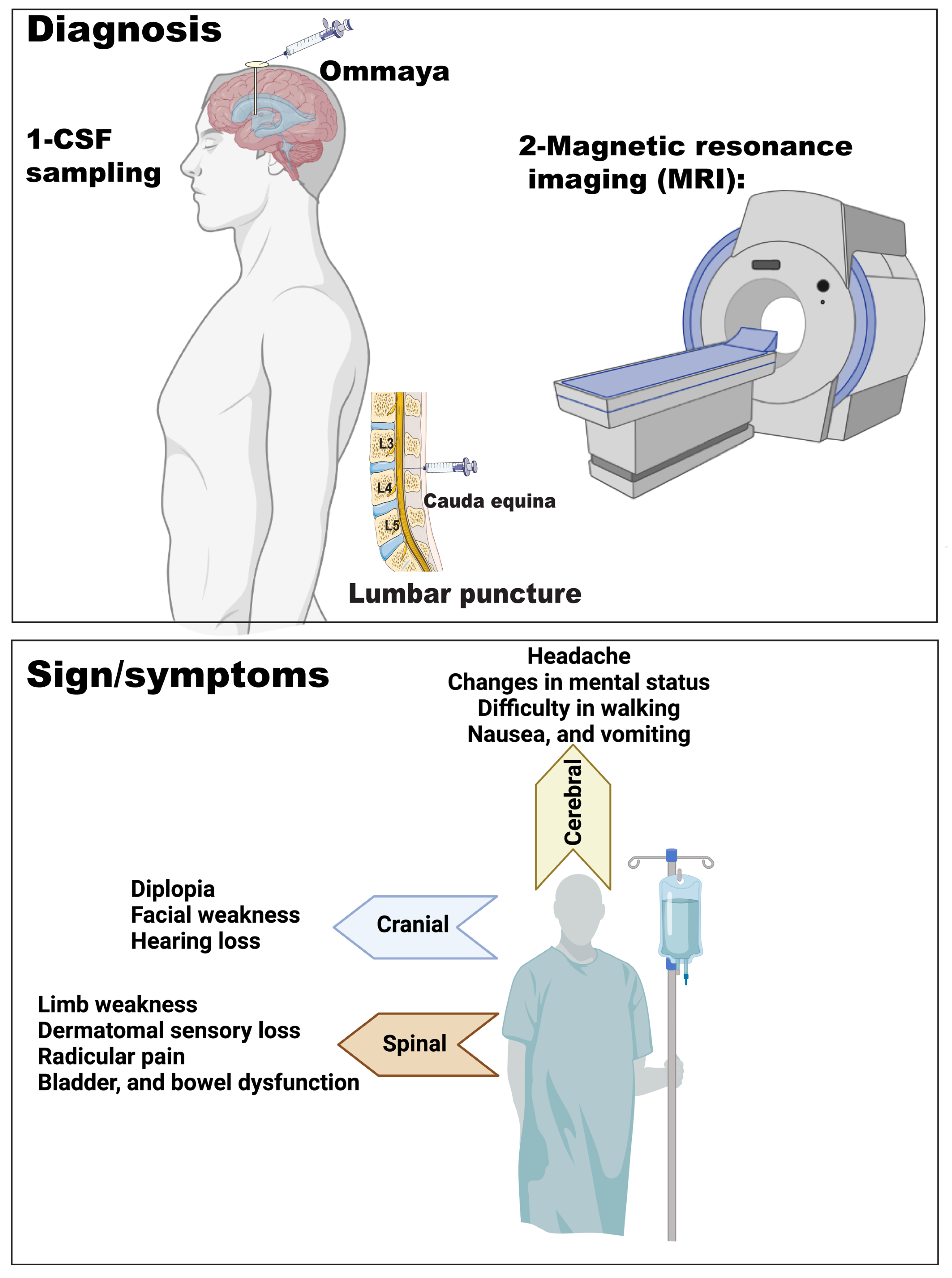 Cancers 15 01884 g003
