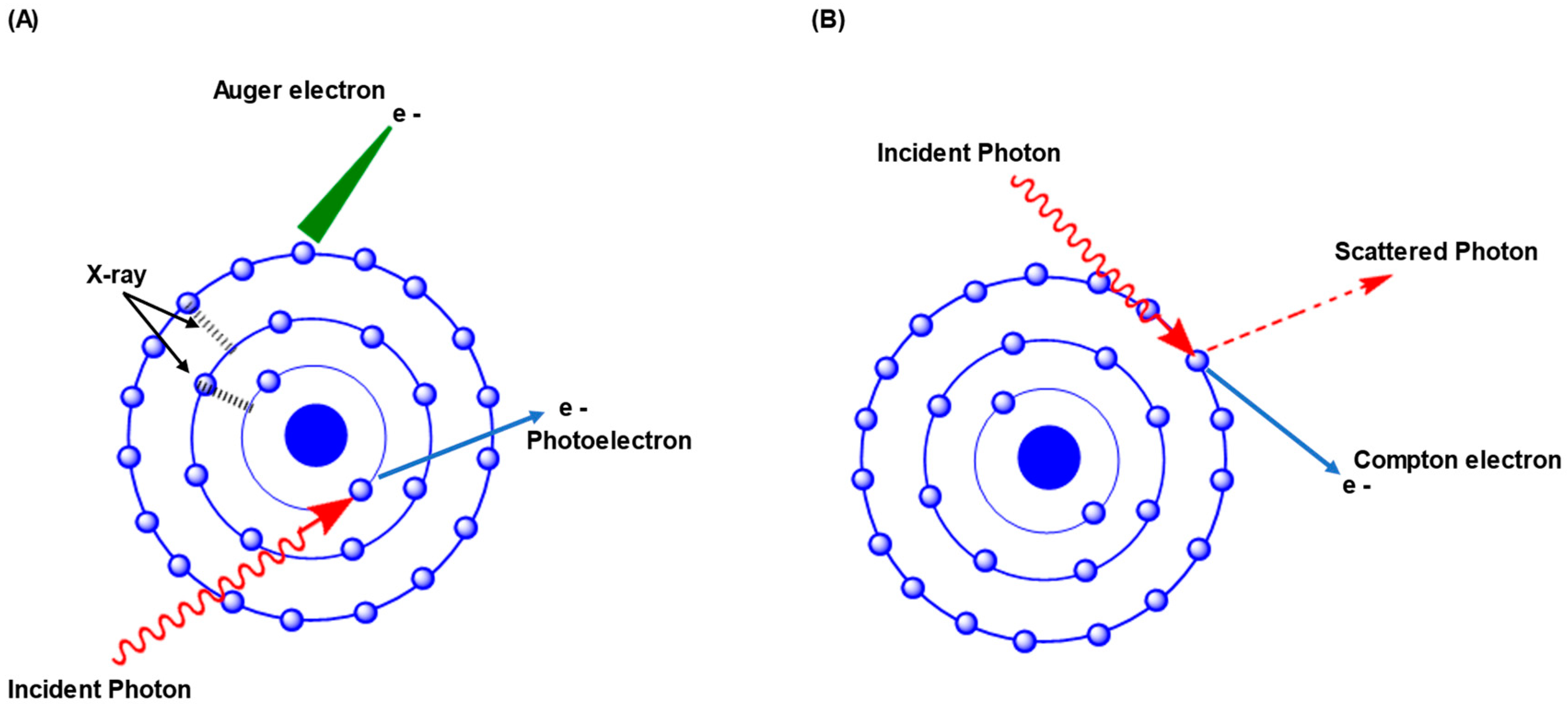 Cancers 15 01892 g001 Cancers 15 01892 g001