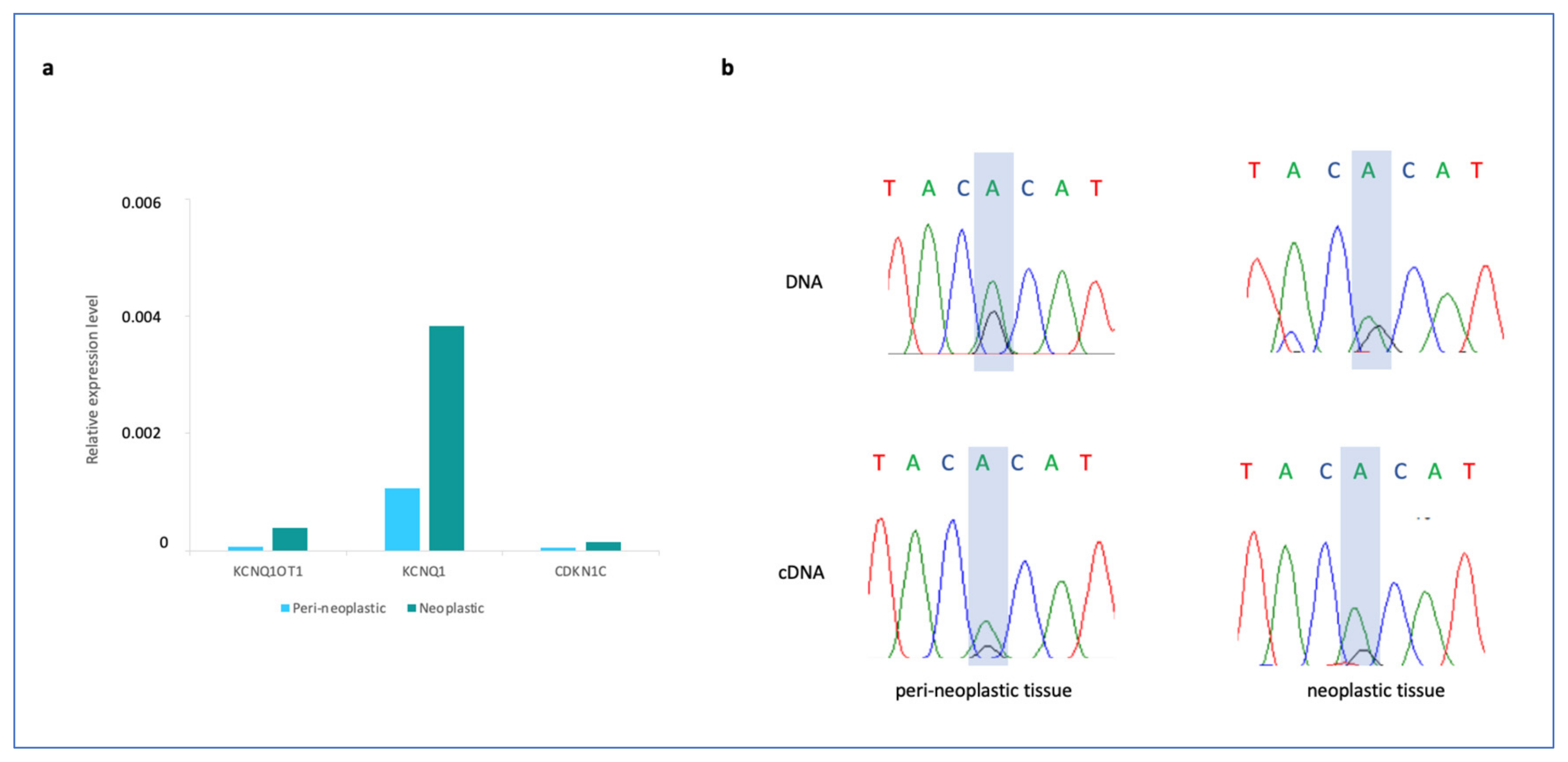 Cancers 15 01944 g002 Cancers 15 01944 g002