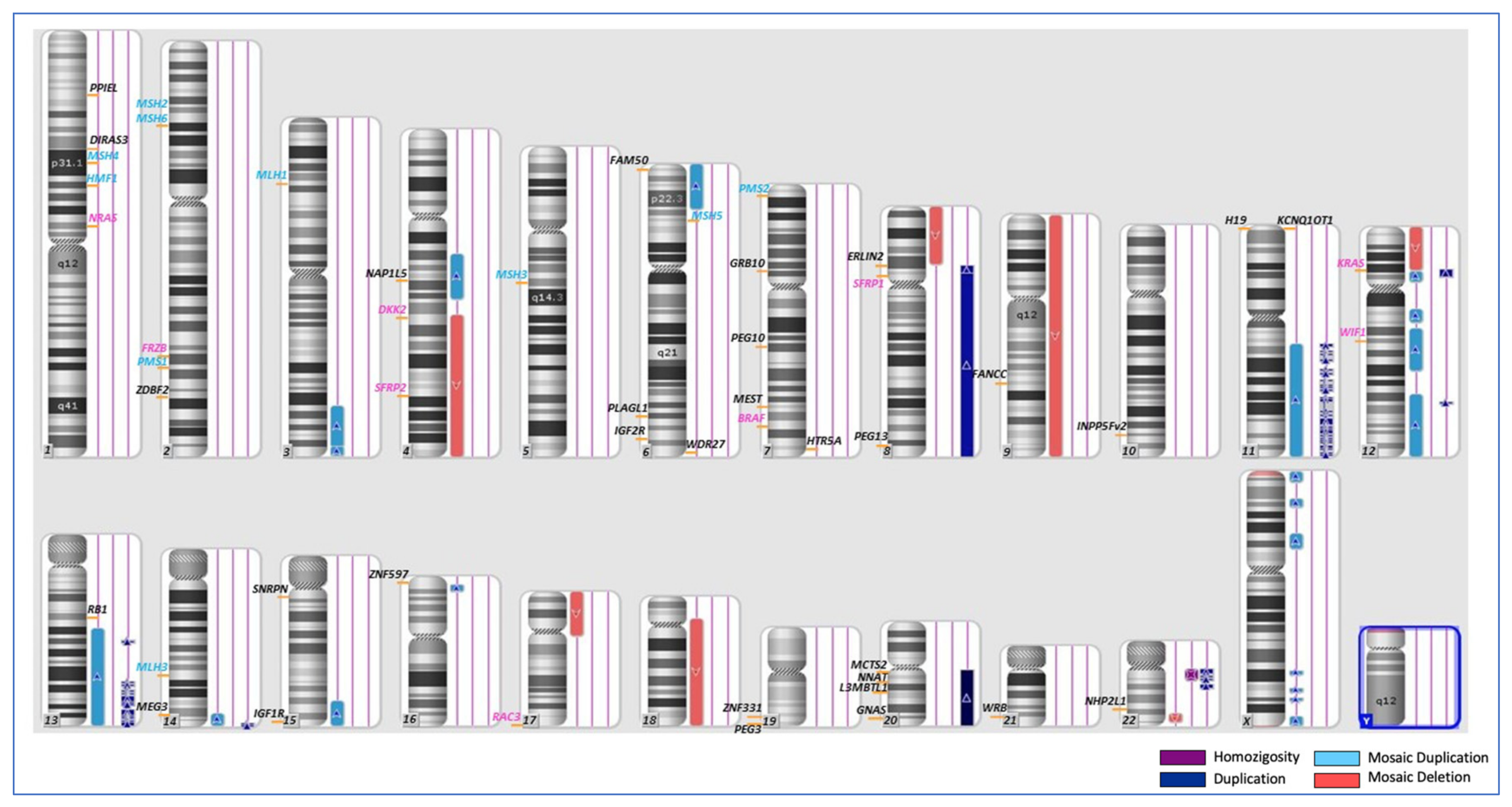 Cancers 15 01944 g004 Cancers 15 01944 g004