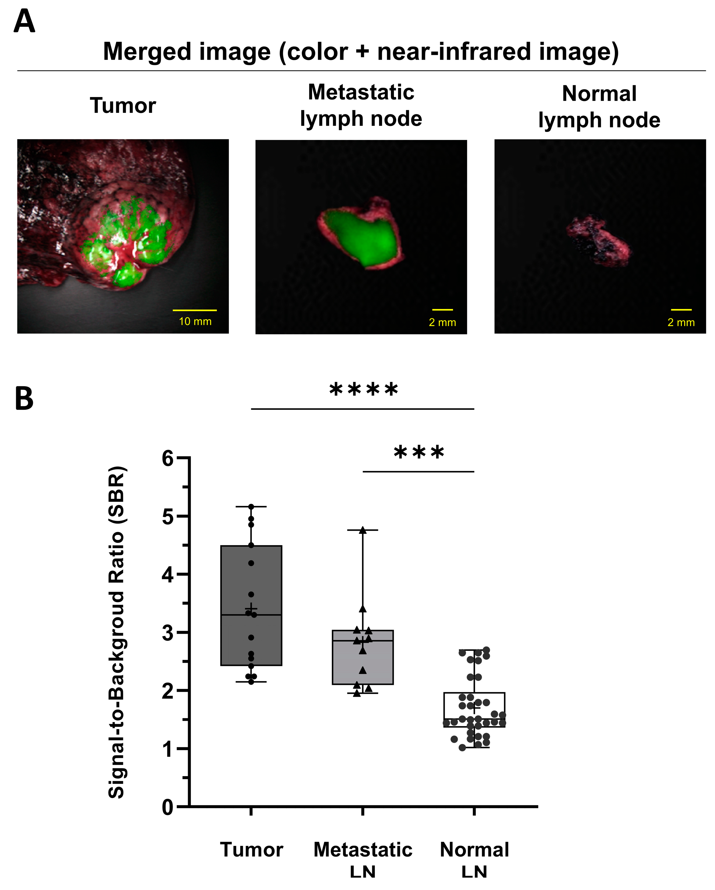 Cancers 15 01964 g002 Cancers 15 01964 g002