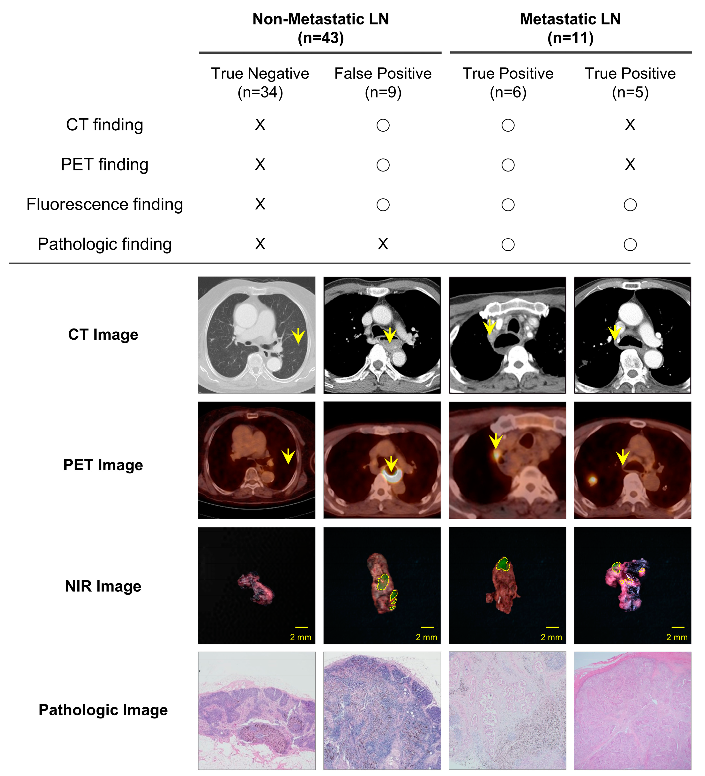 Cancers 15 01964 g003 Cancers 15 01964 g003