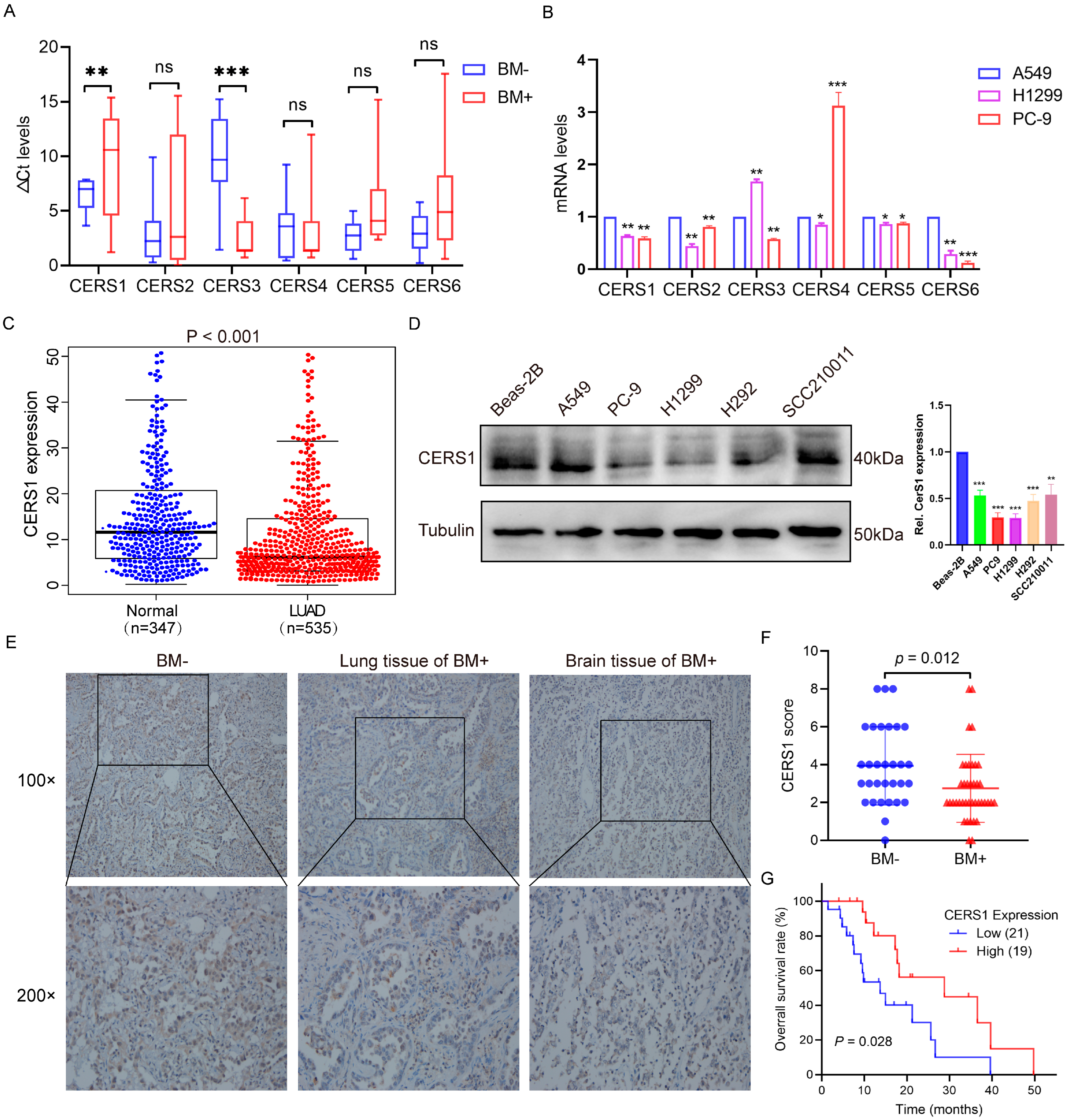 Cancers 15 01994 g001 Cancers 15 01994 g001