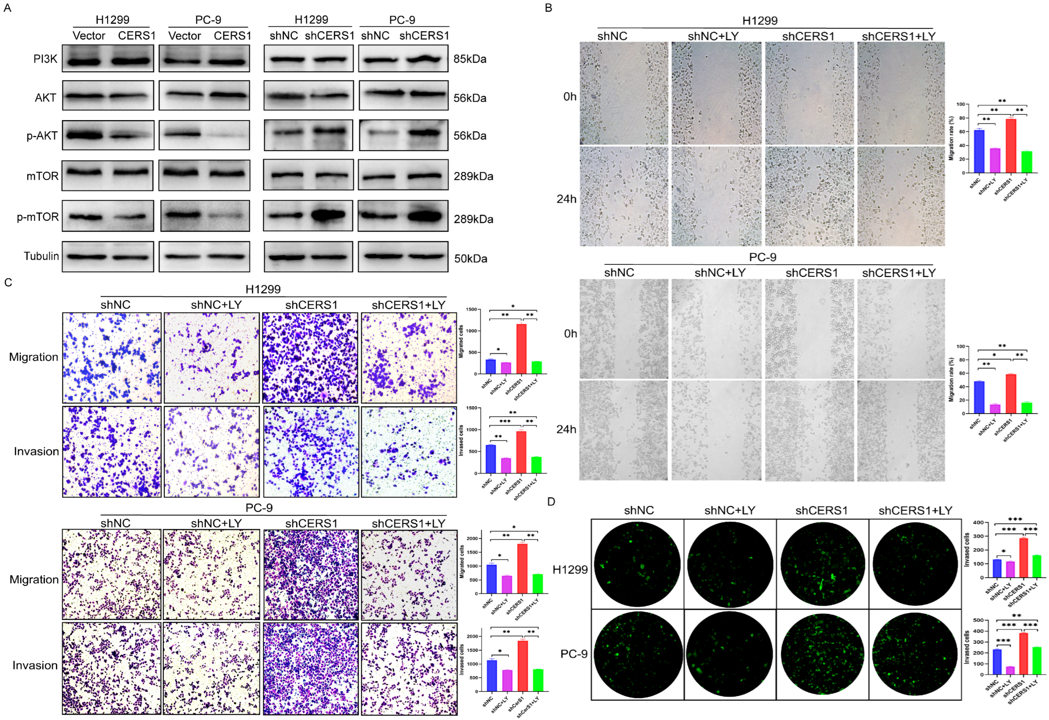 Cancers 15 01994 g004 Cancers 15 01994 g004