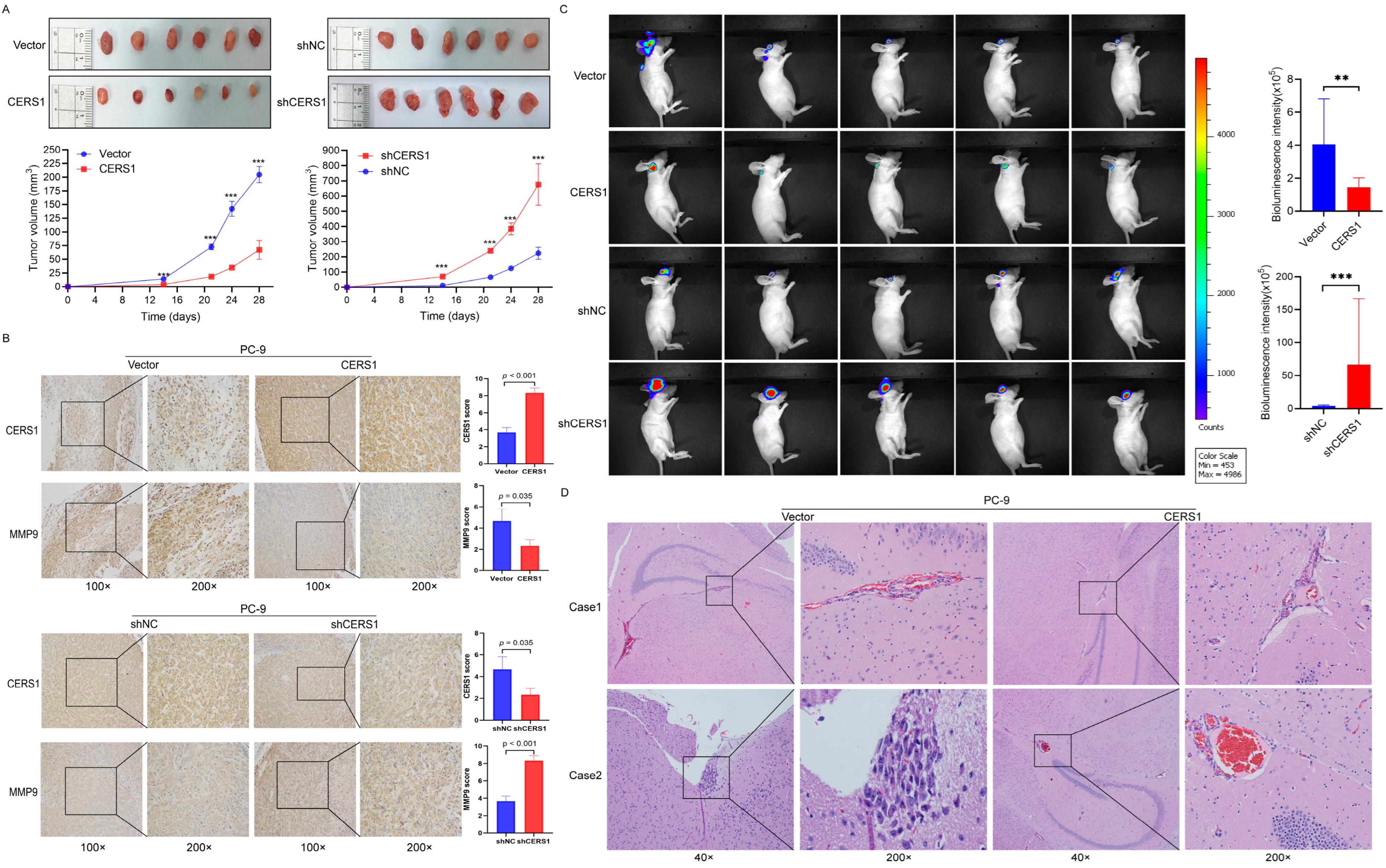 Cancers 15 01994 g005 Cancers 15 01994 g005